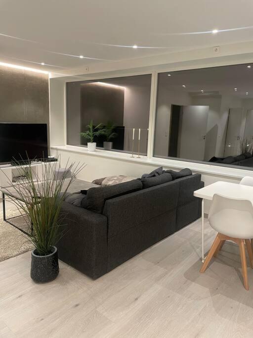 Modern countryside apartment