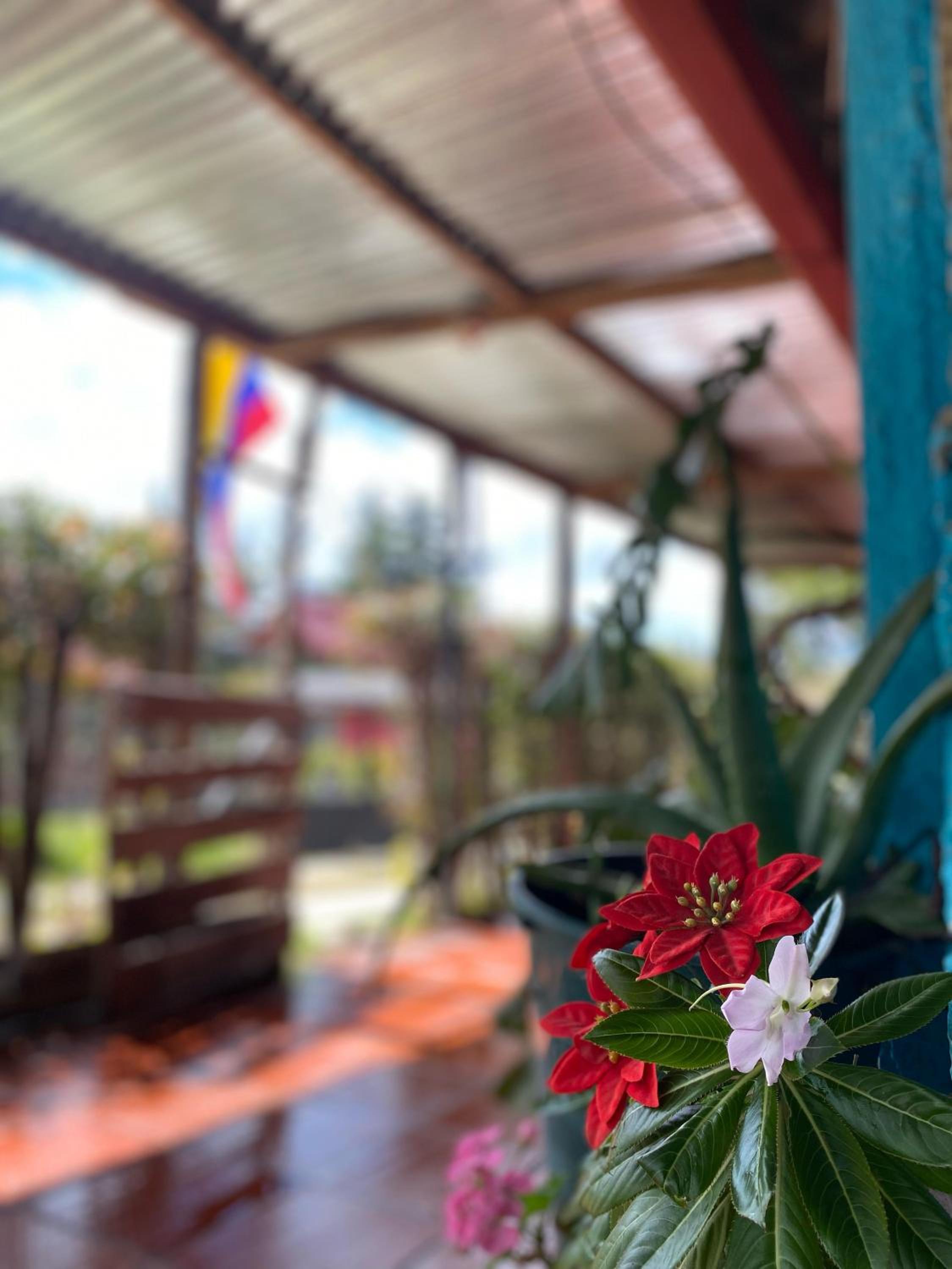 Casa Campestre Adela