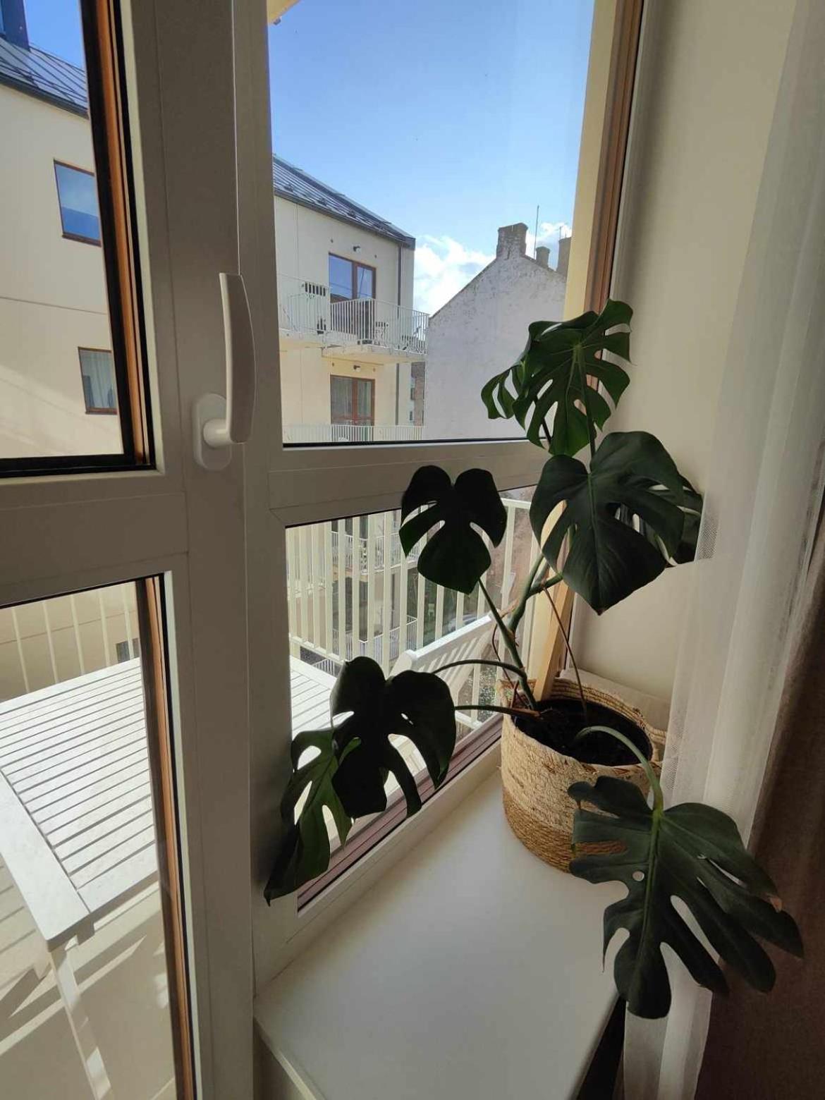 Wide & Light Apartment - Self check in view 3
