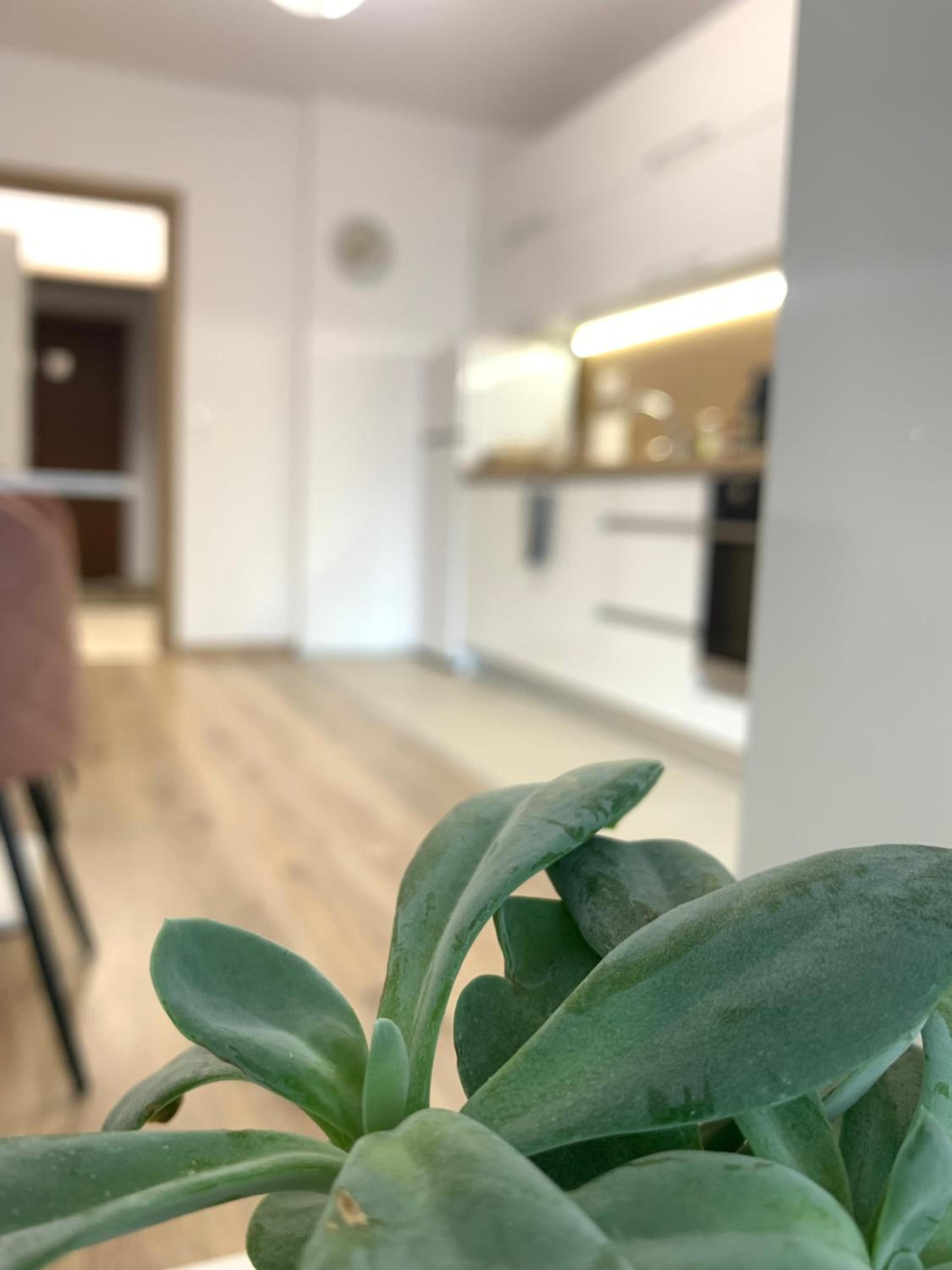 SOFIA CENTRAL LUXURY apartment 