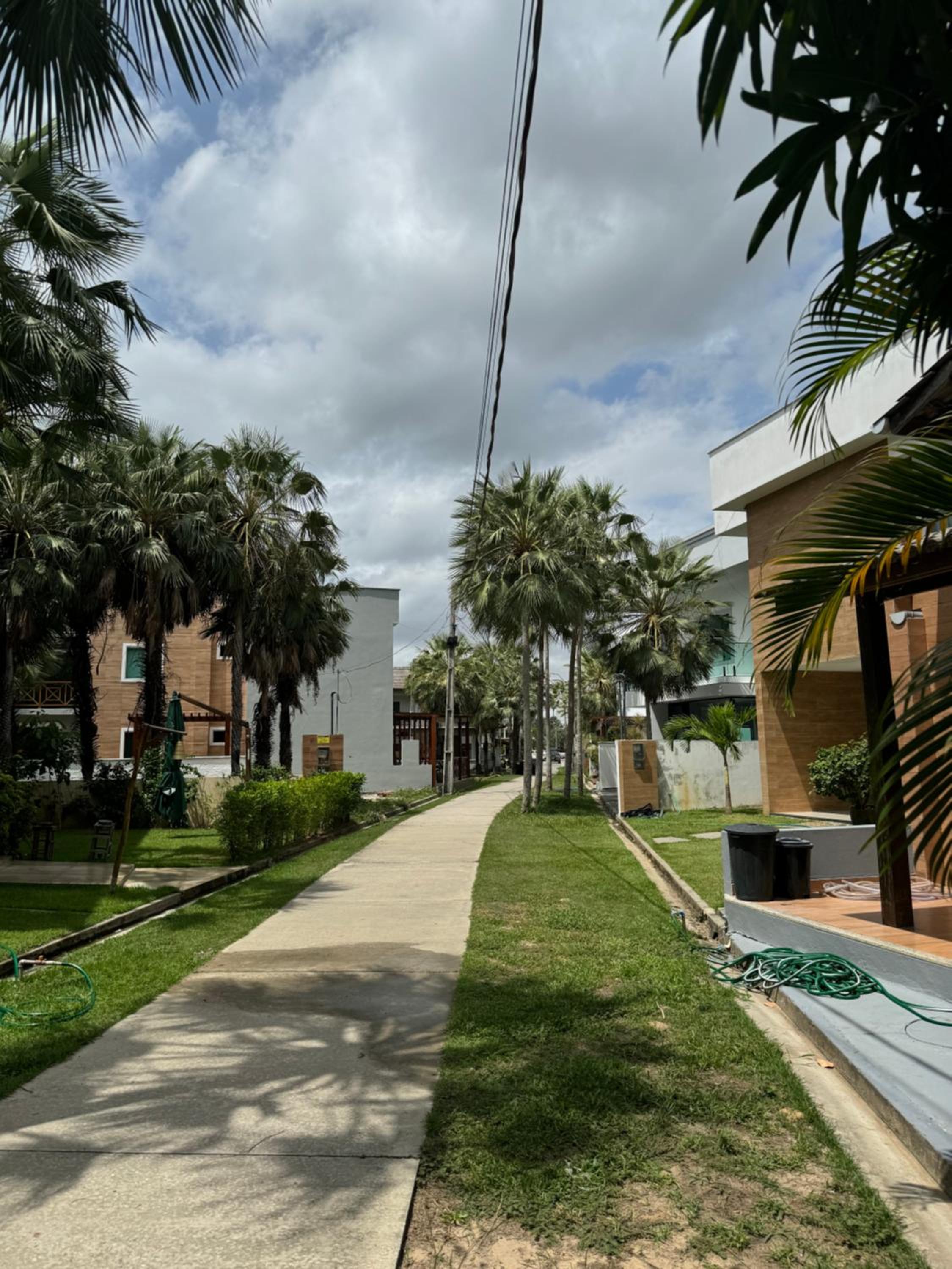 Casa da árvore lençóis