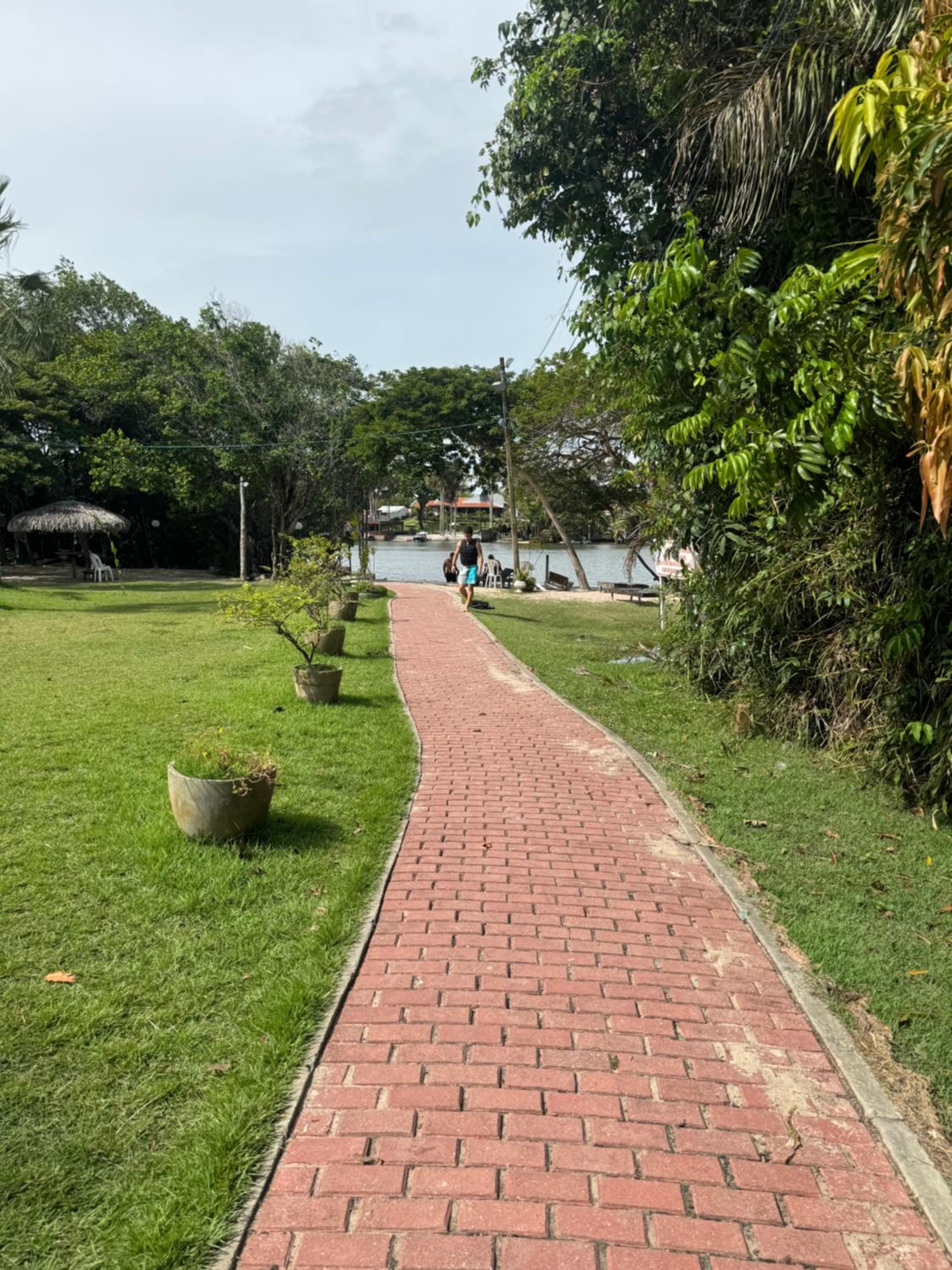 Casa da árvore lençóis