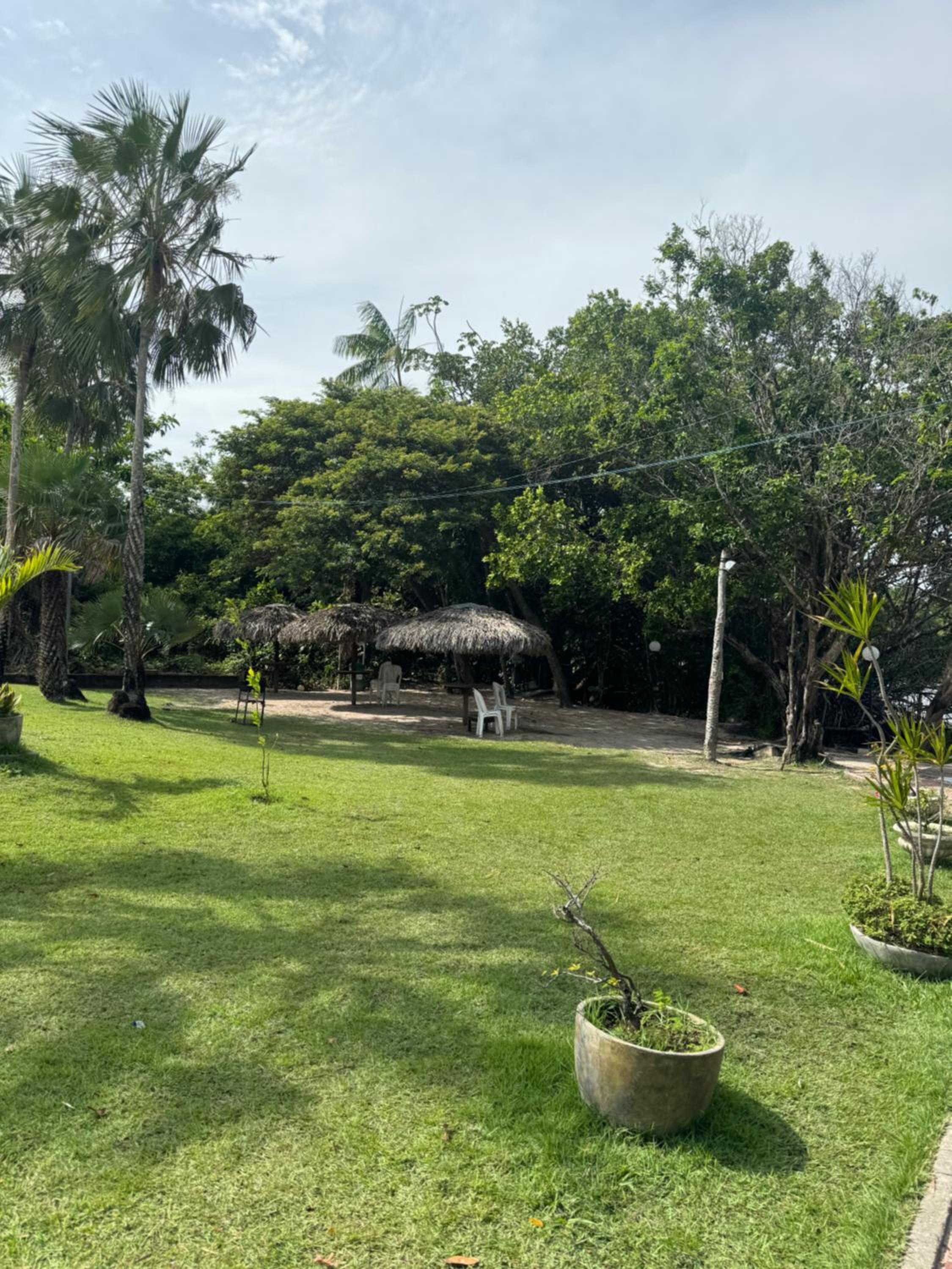 Casa da árvore lençóis