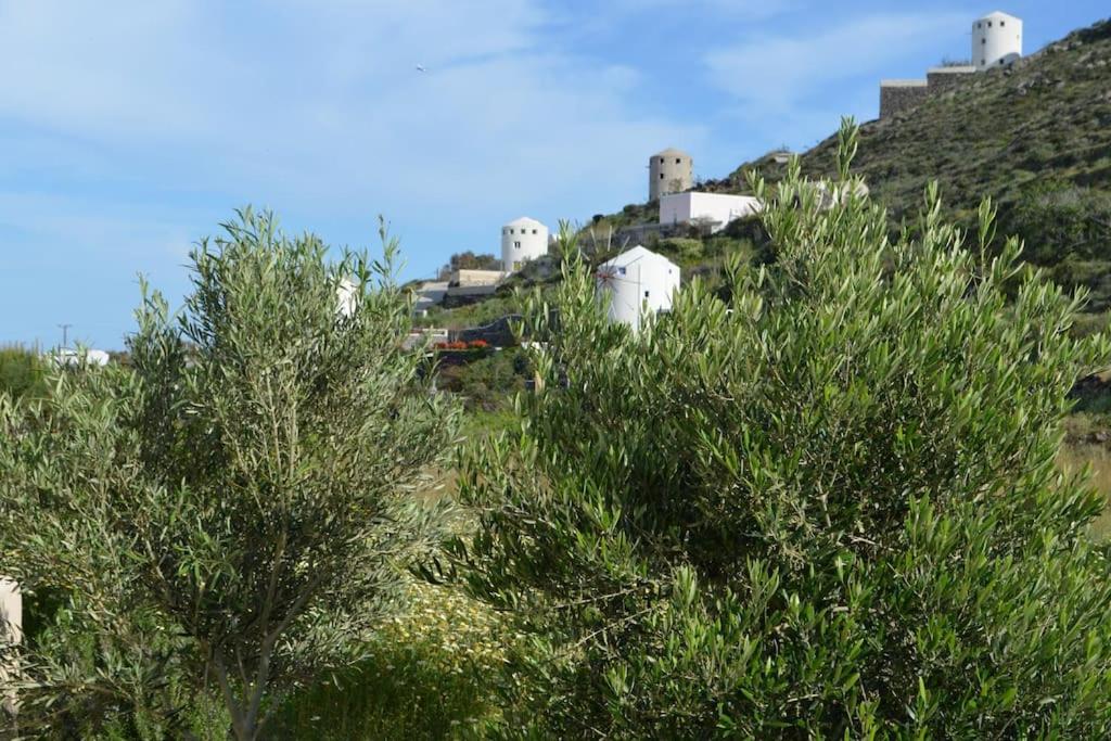 Photo 26