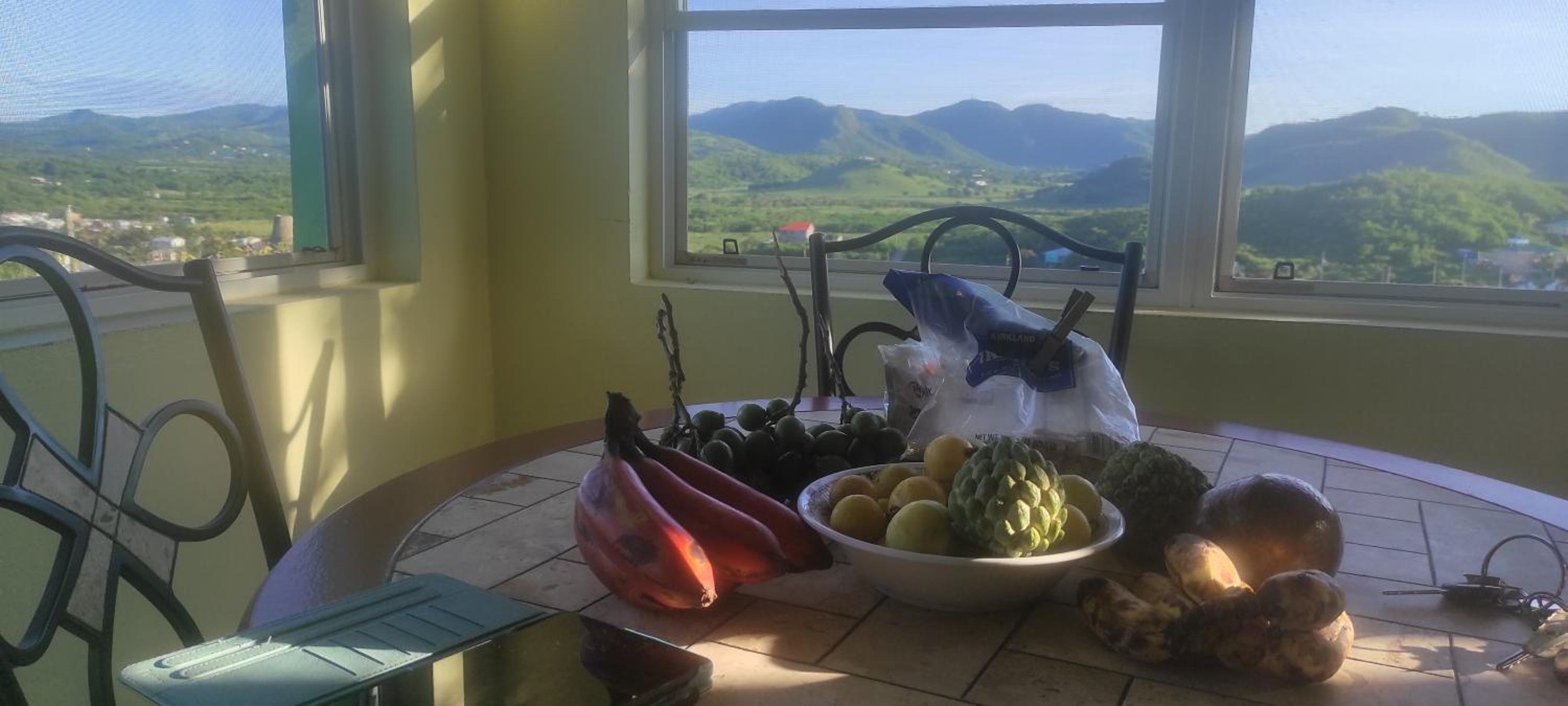 Zeus Estate Guesthouse