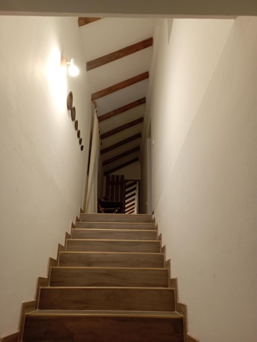 GUESTHOUSE TARA photo 2