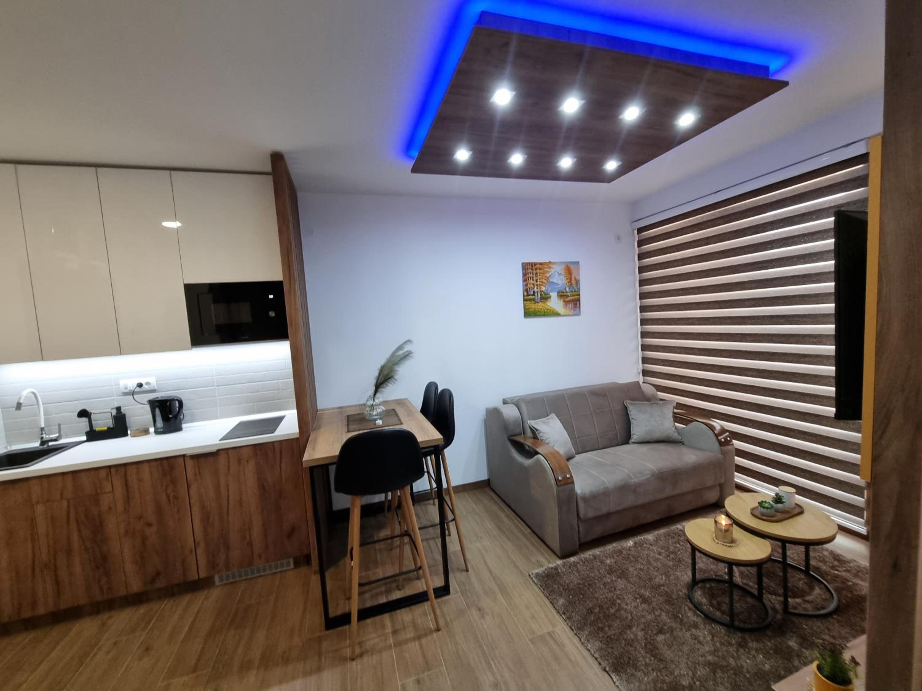 Luxury Apartment Borovi 2