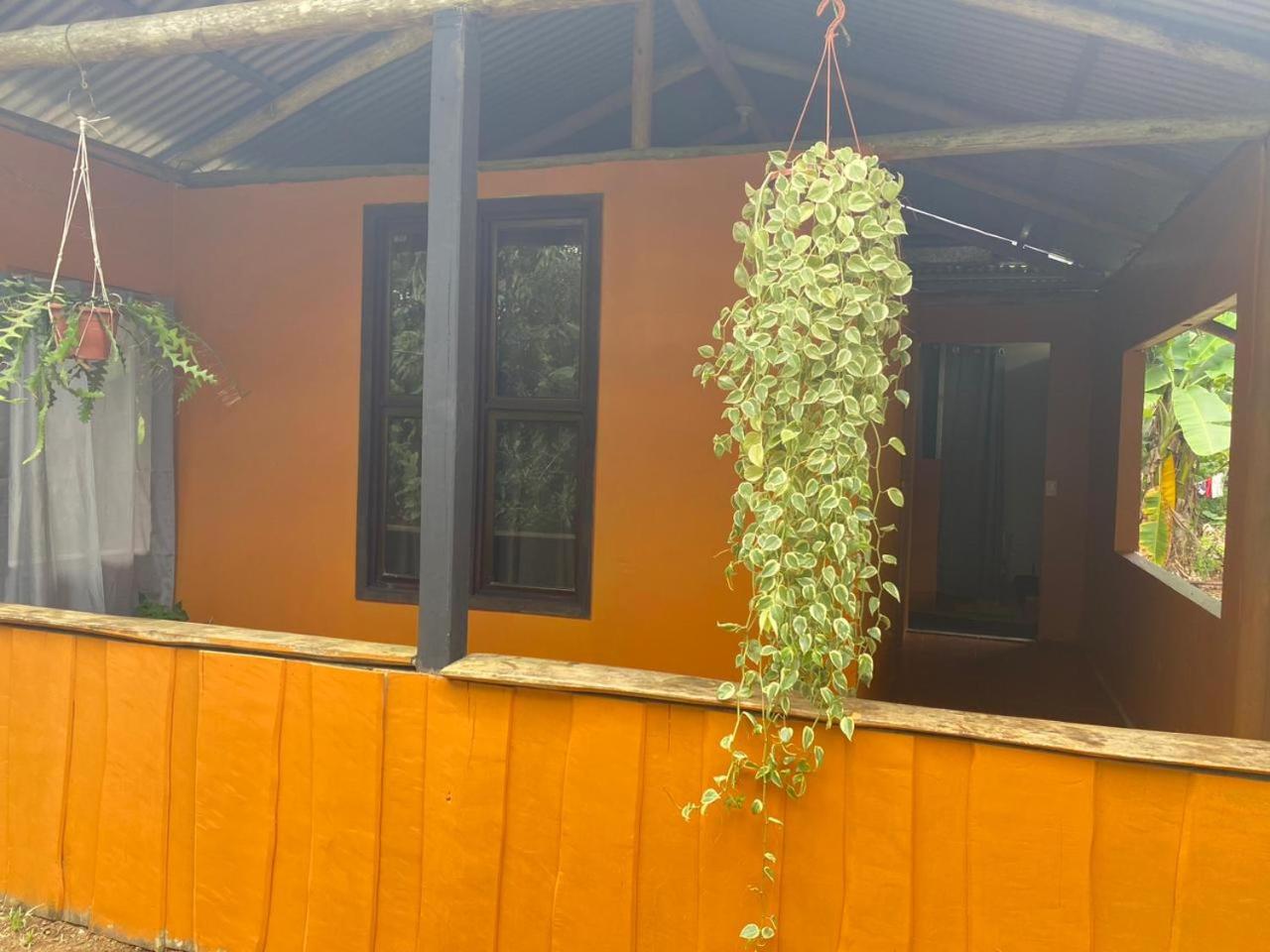 Cabinas Corcovado Green Parrot, Los Planes Drake