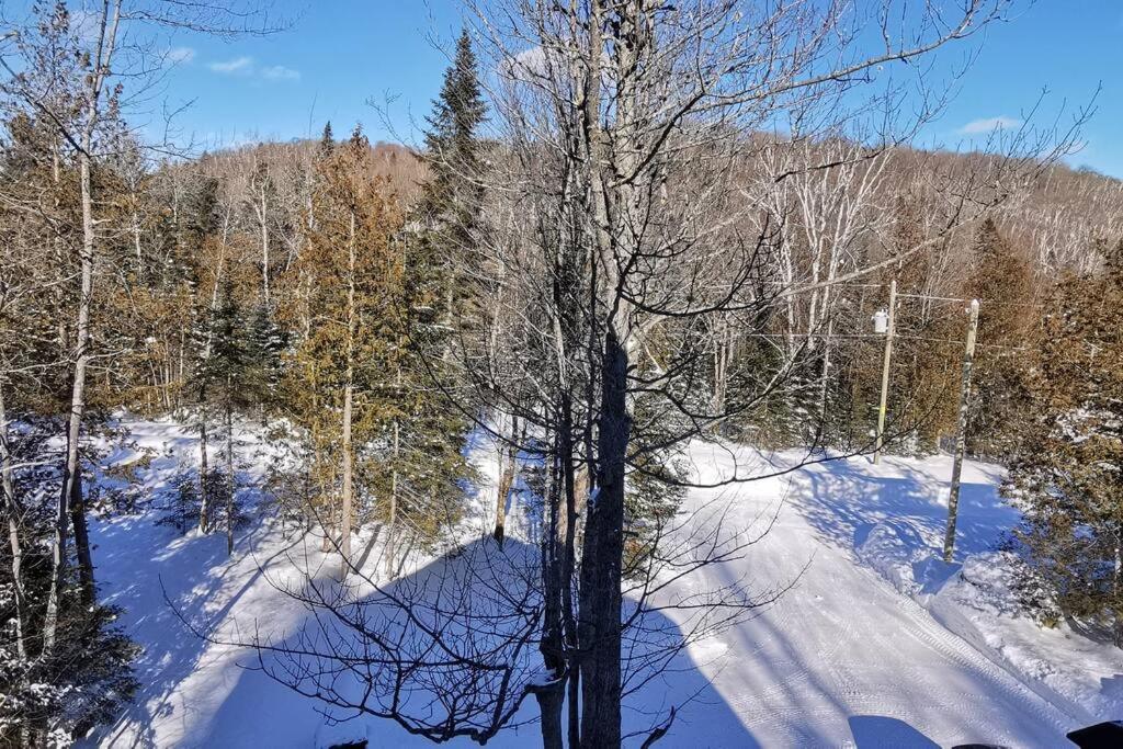 Chalet Bella Vista - Lake access - SPA - 4 bdrms