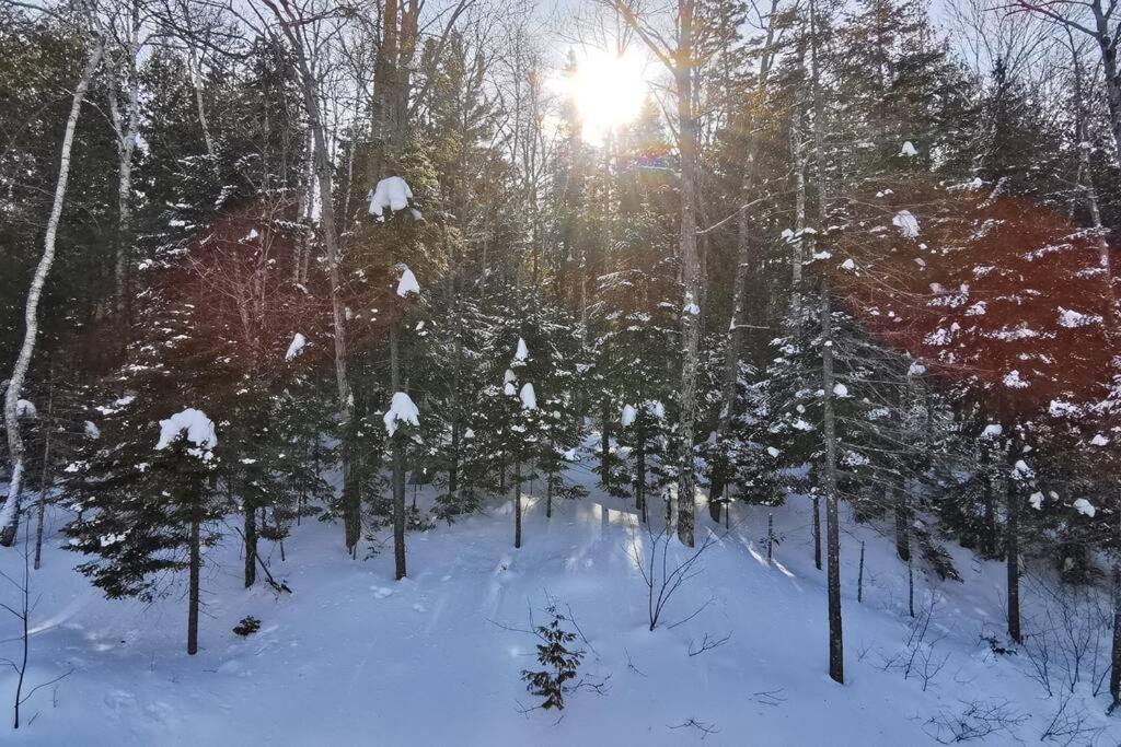 Chalet Bella Vista - Lake access - SPA - 4 bdrms