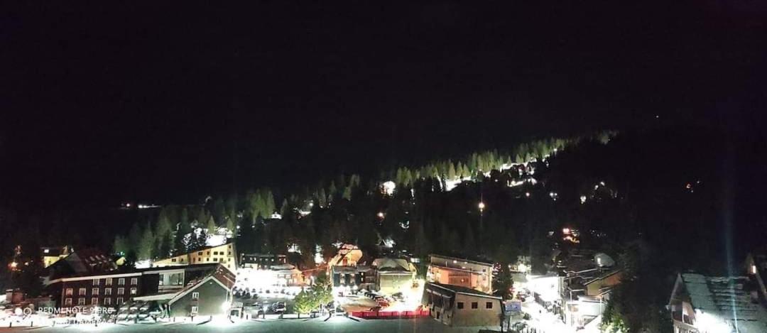 The View