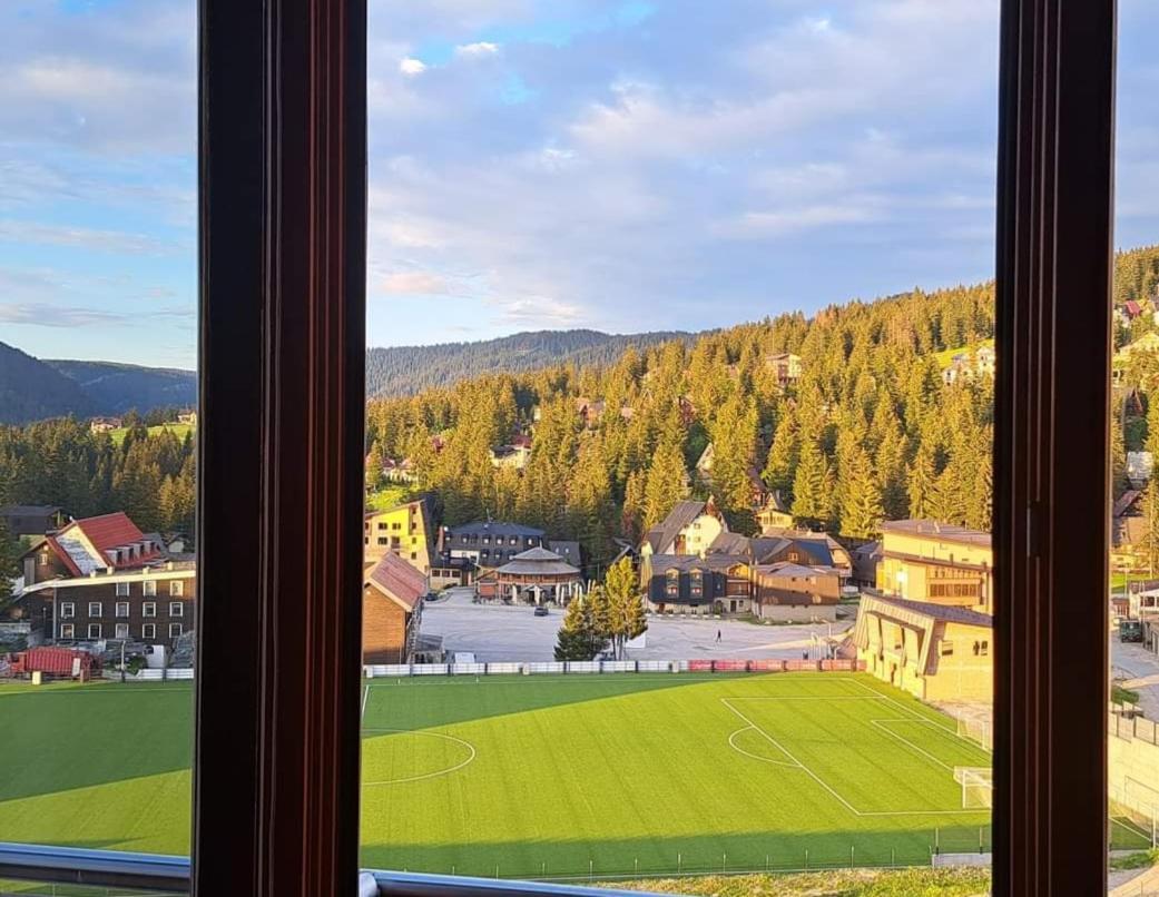 The View
