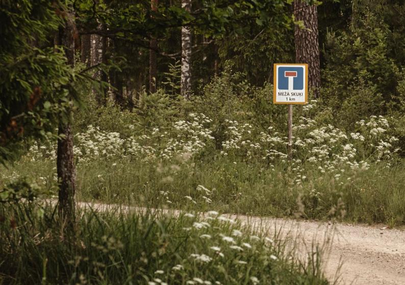 Photo 41