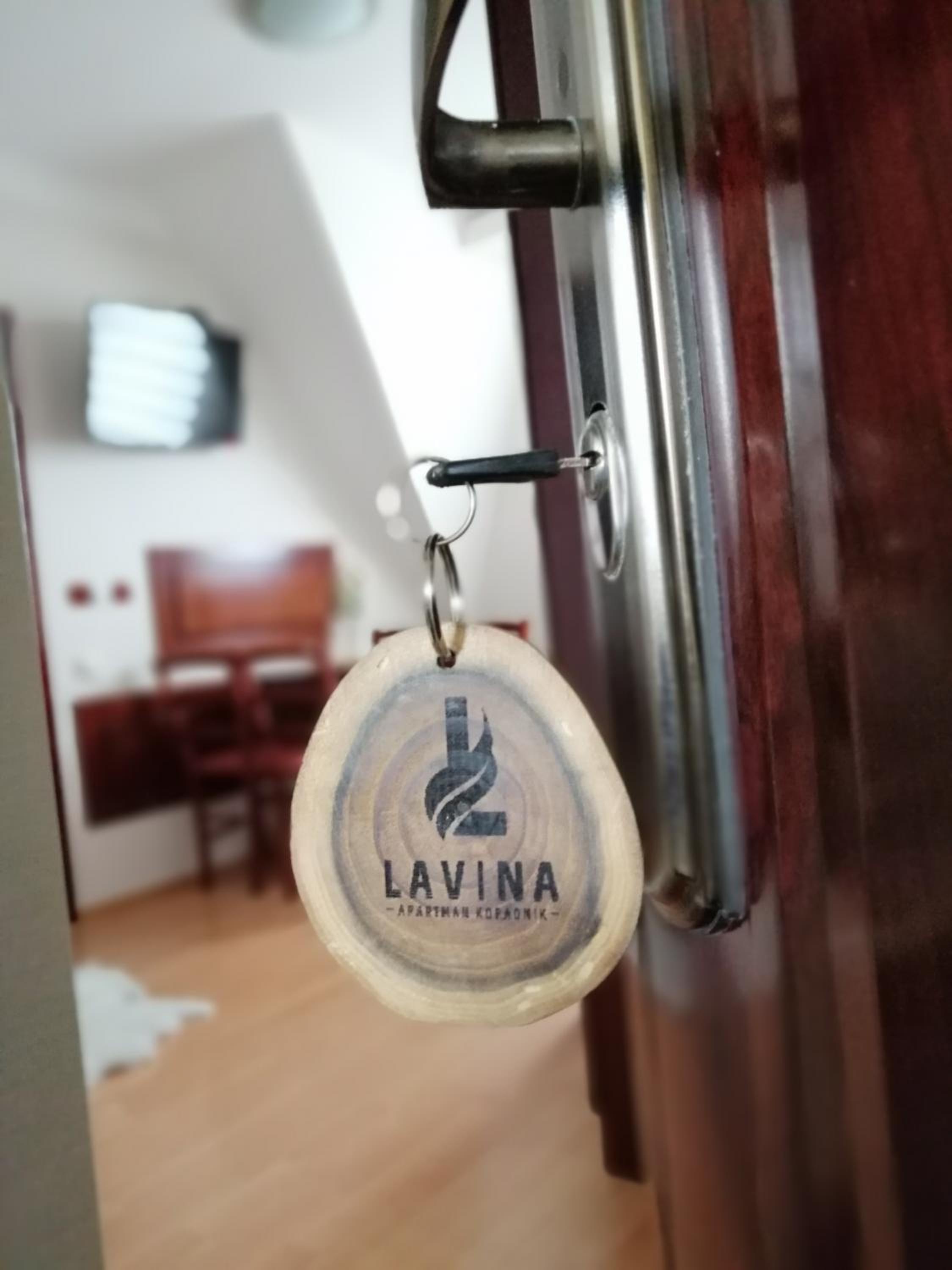 Apartment Lavina Kopaonik view 4