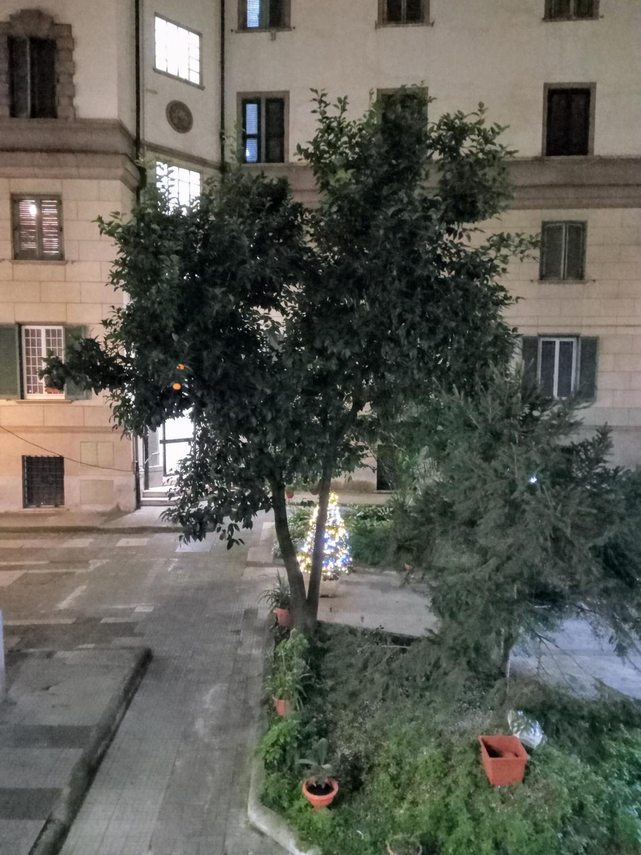 l'appartamento di Carla zona storica