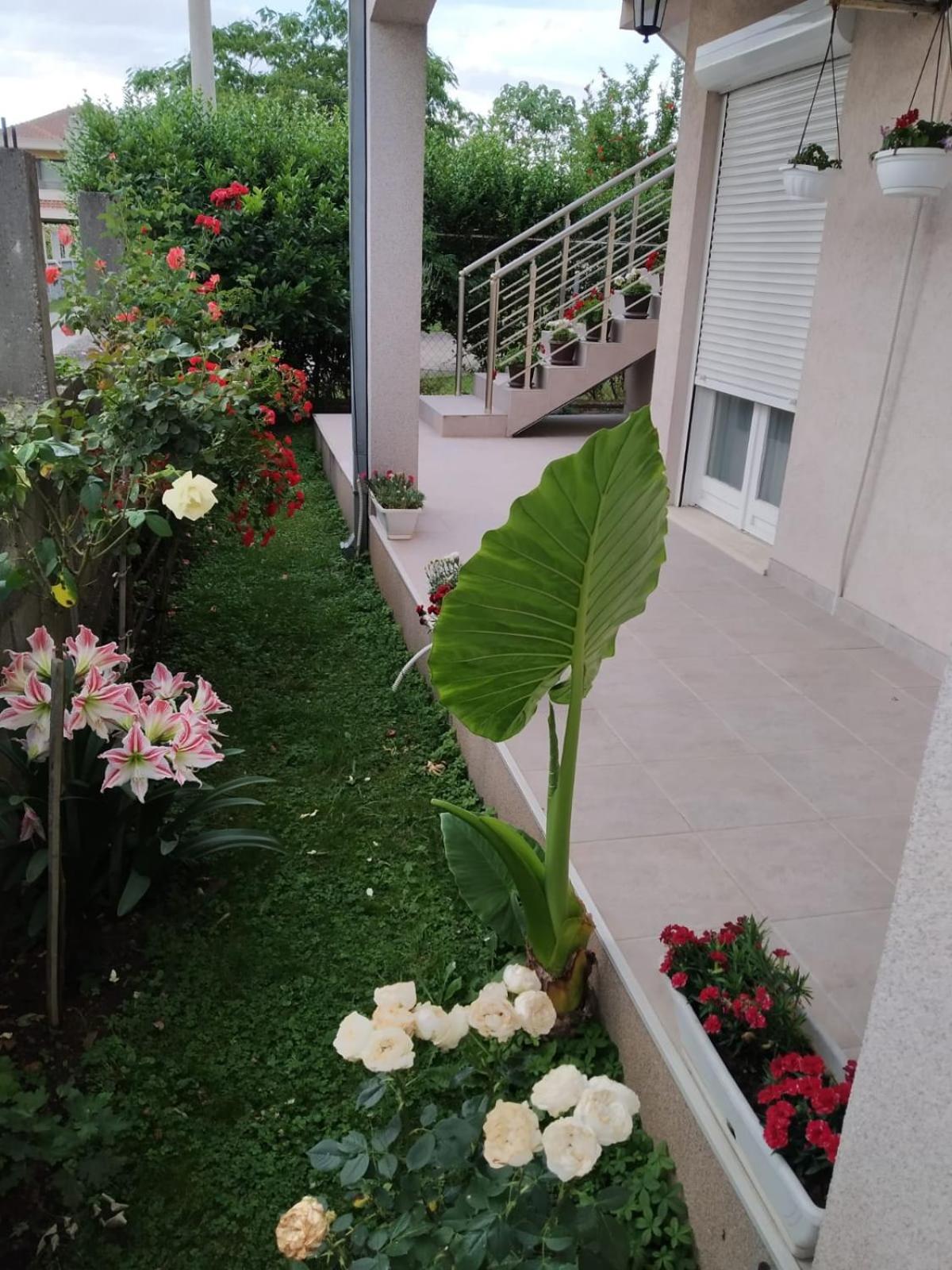 Entire house floor - 2-Bedroom Cozy & Peaceful Apartment view 3