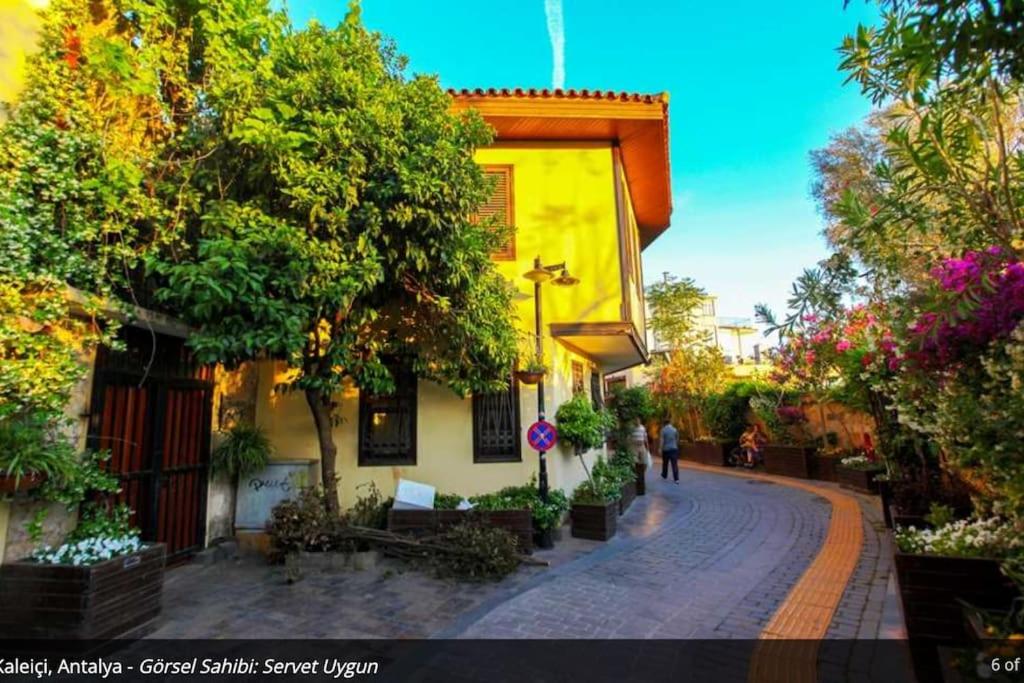 Lara'da Modern bir Vaha