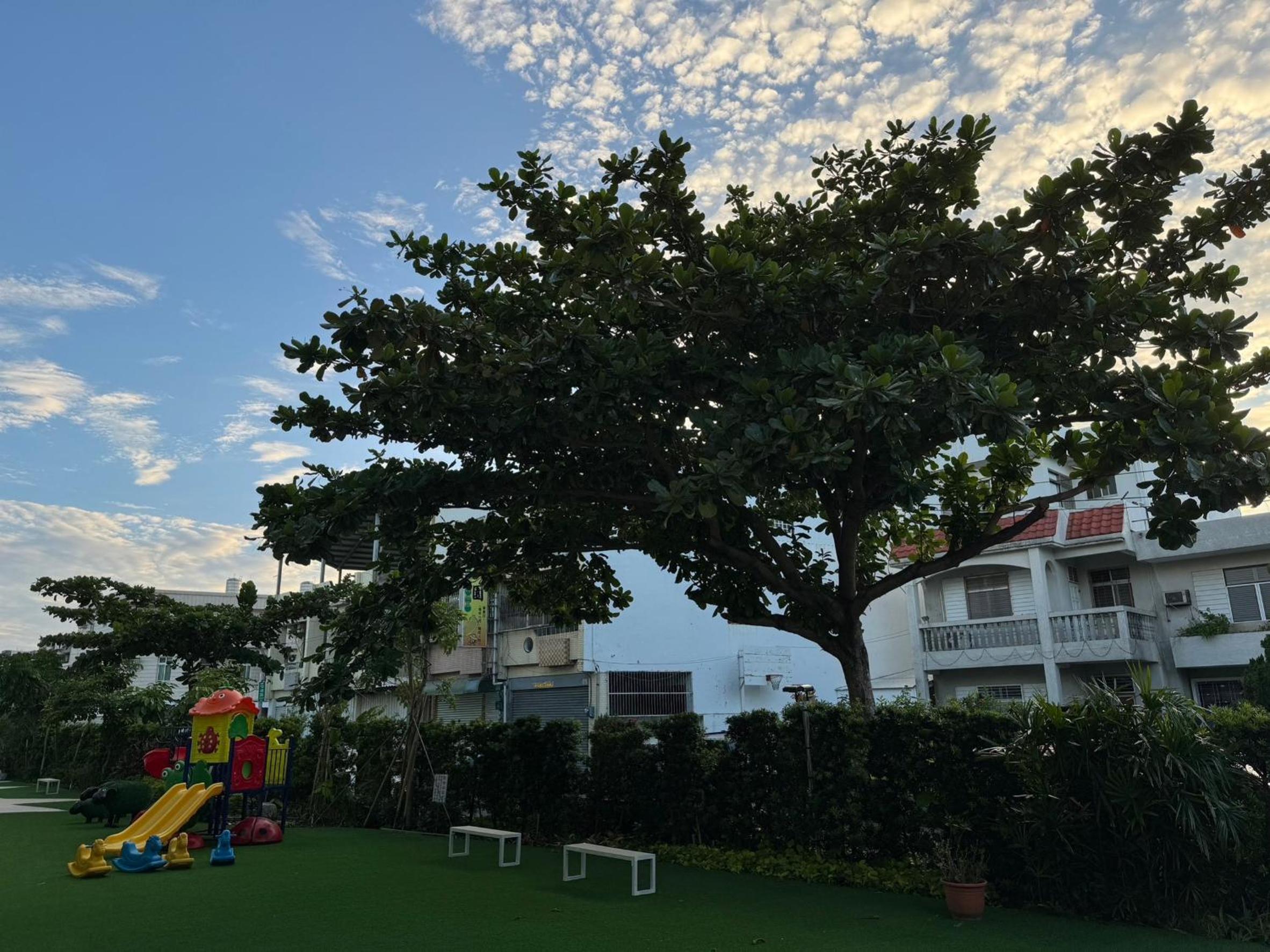 Wind Nest Homestay
