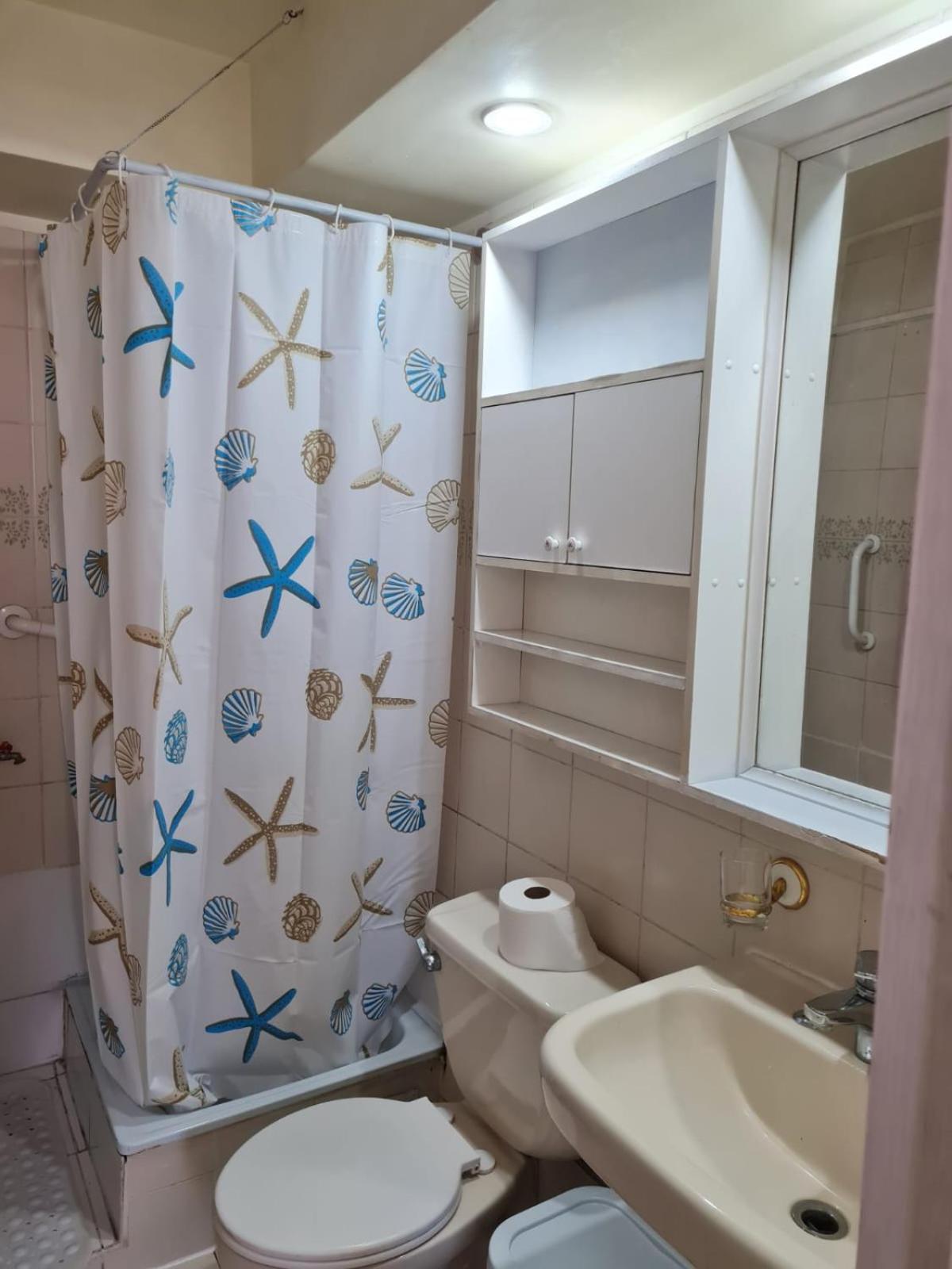 Departamento Céntrico en Santiago