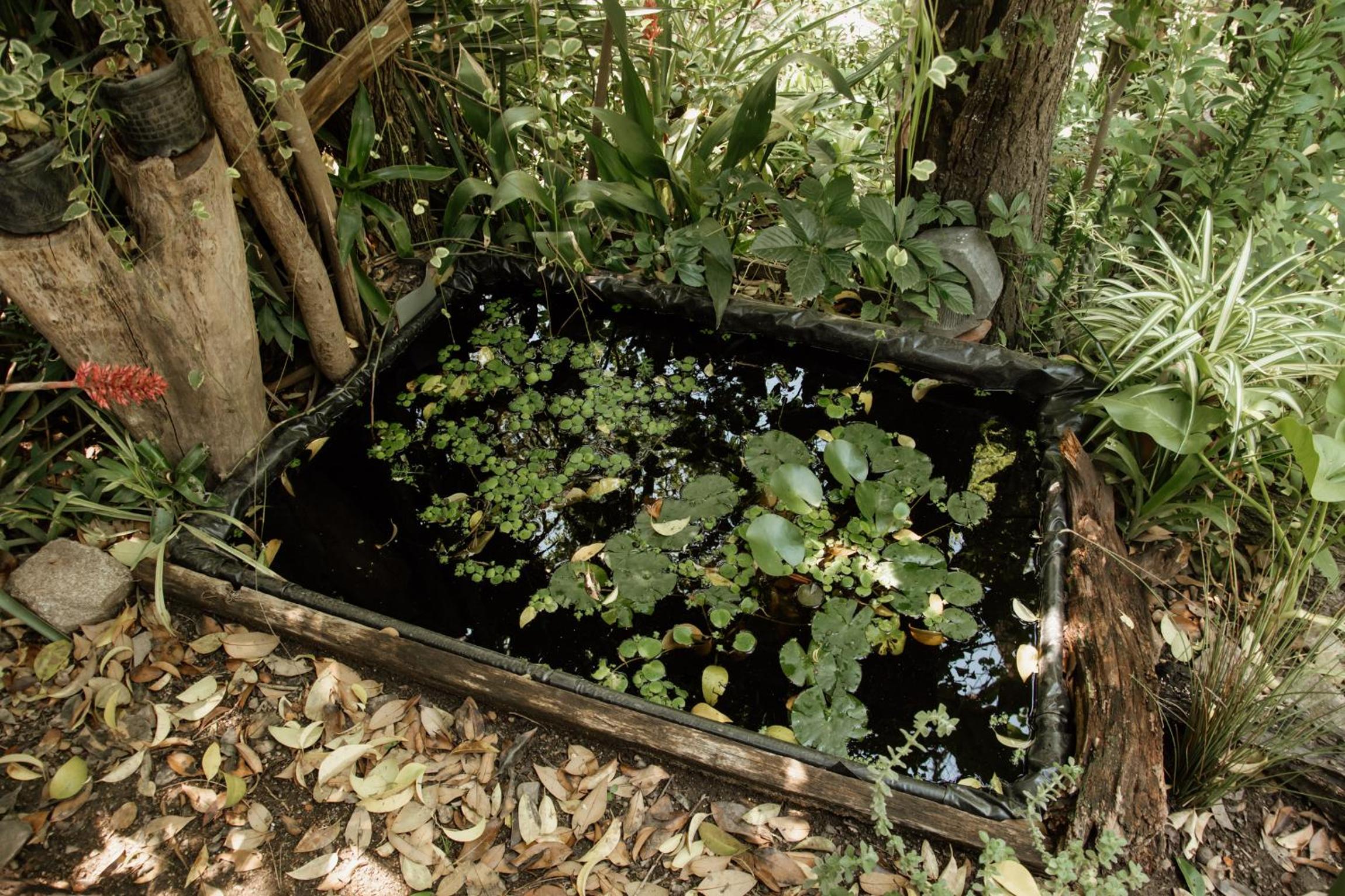 Prana Eco hospedaje