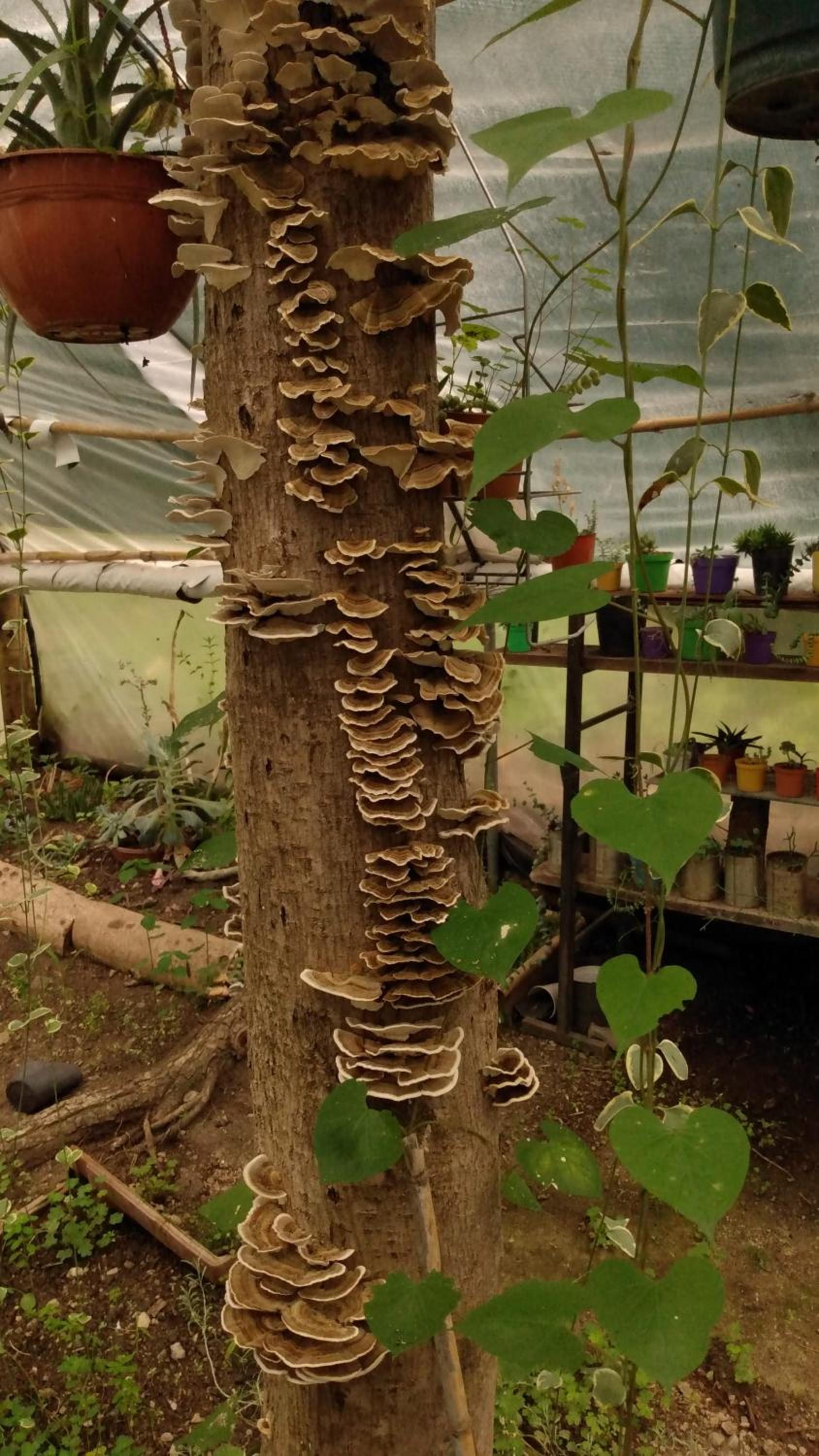 Prana Eco hospedaje