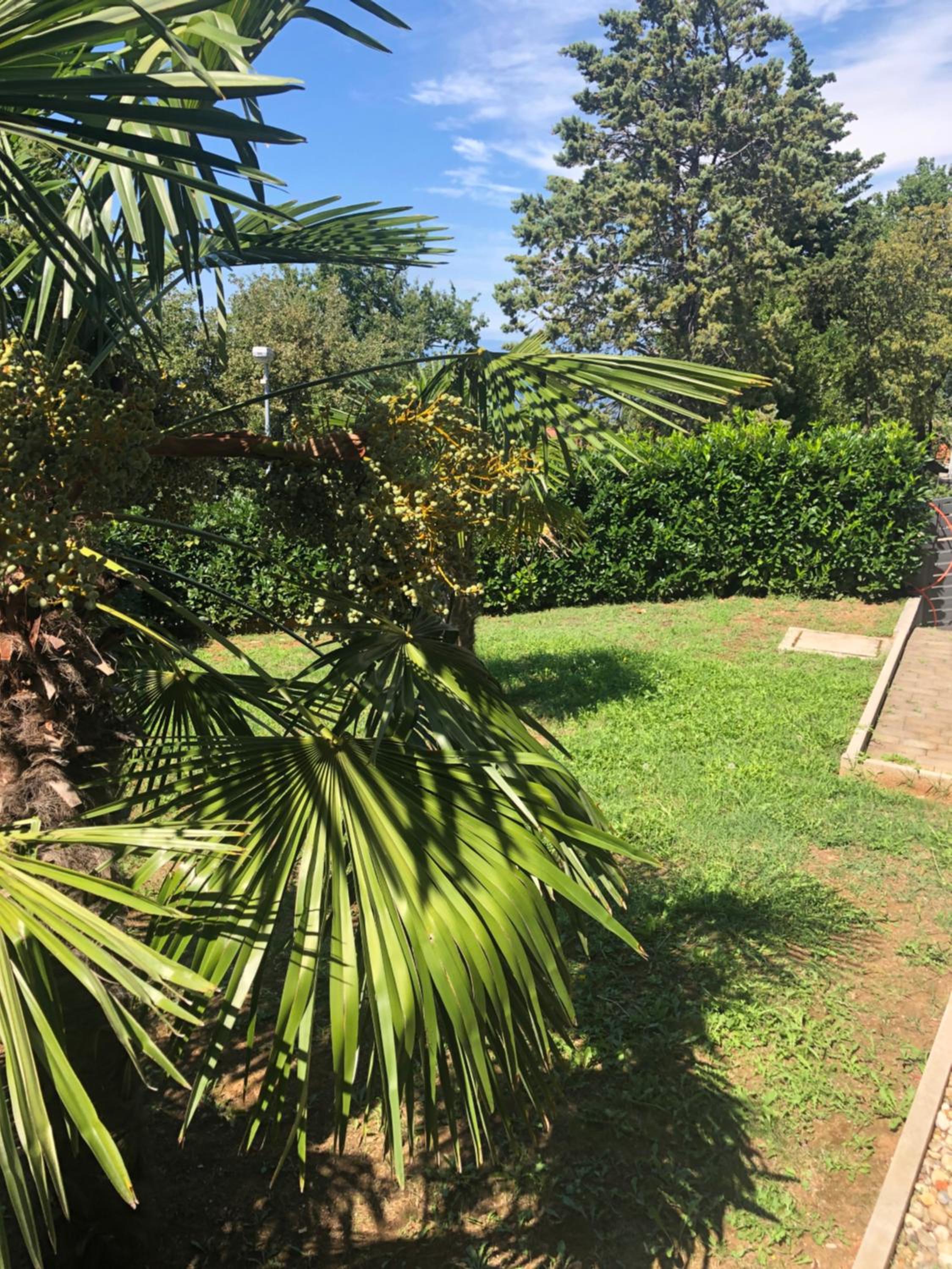 Villa Rudy Holiday Home view 2