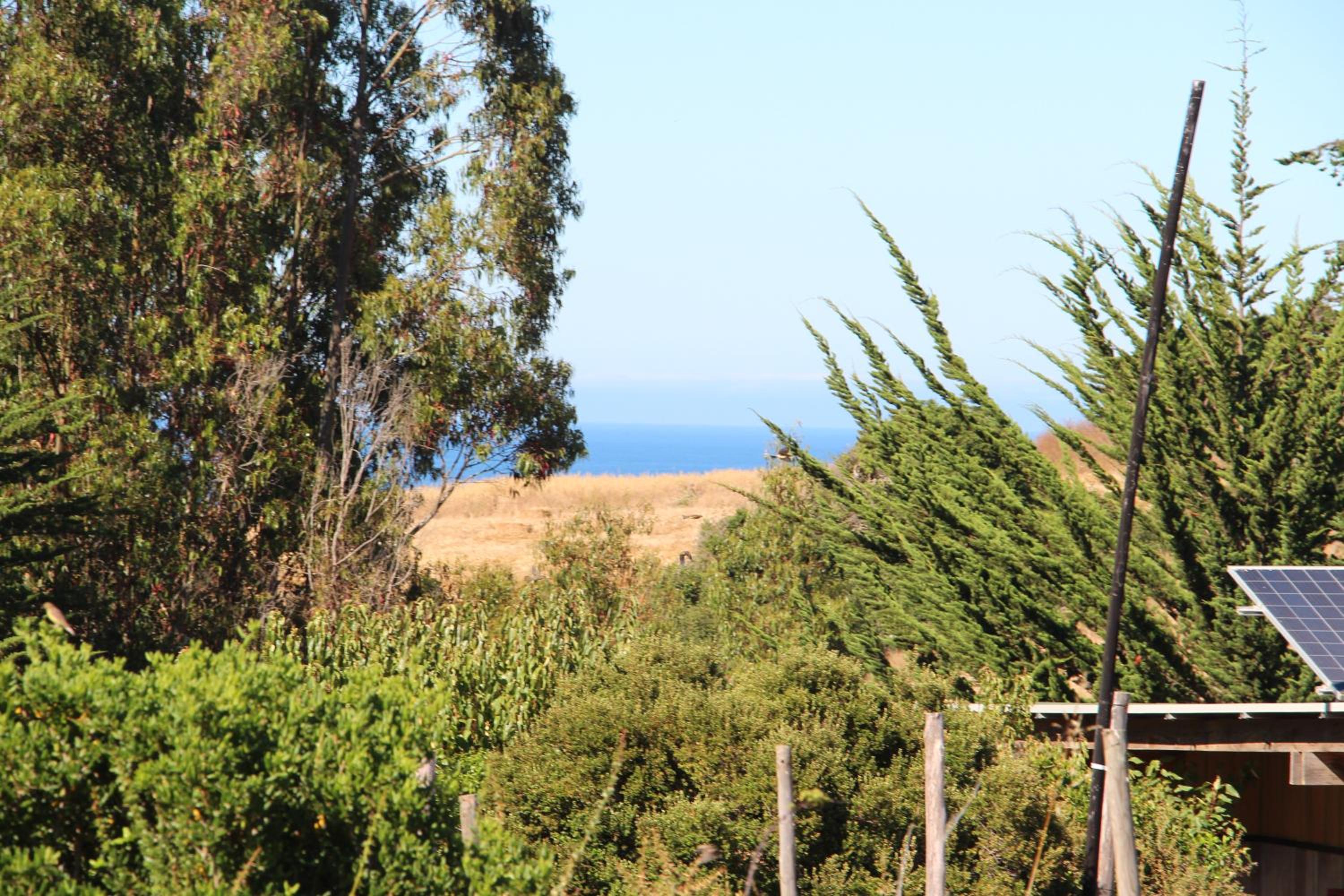 Olas de Chile Ecocamp