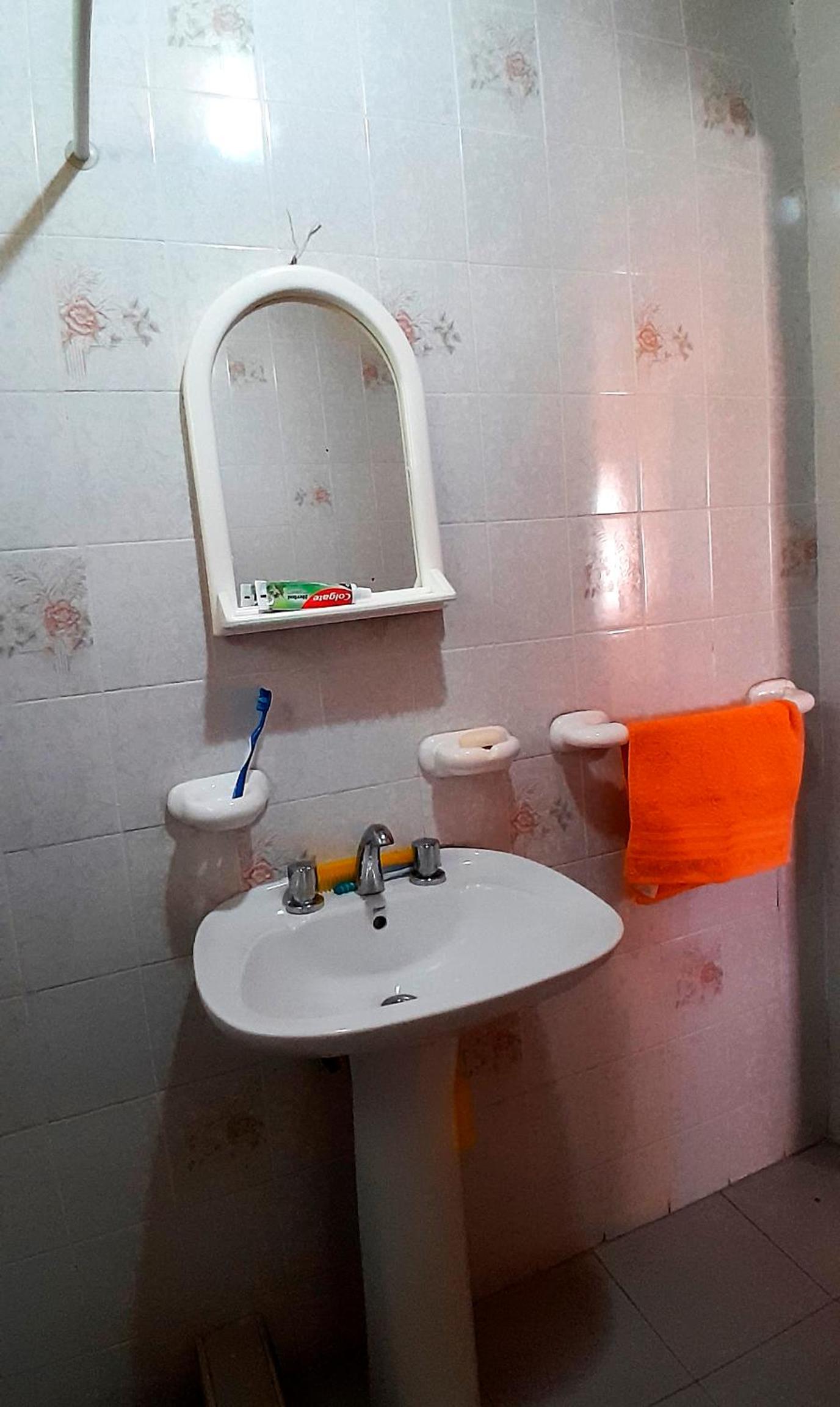 Alas de Mirlos