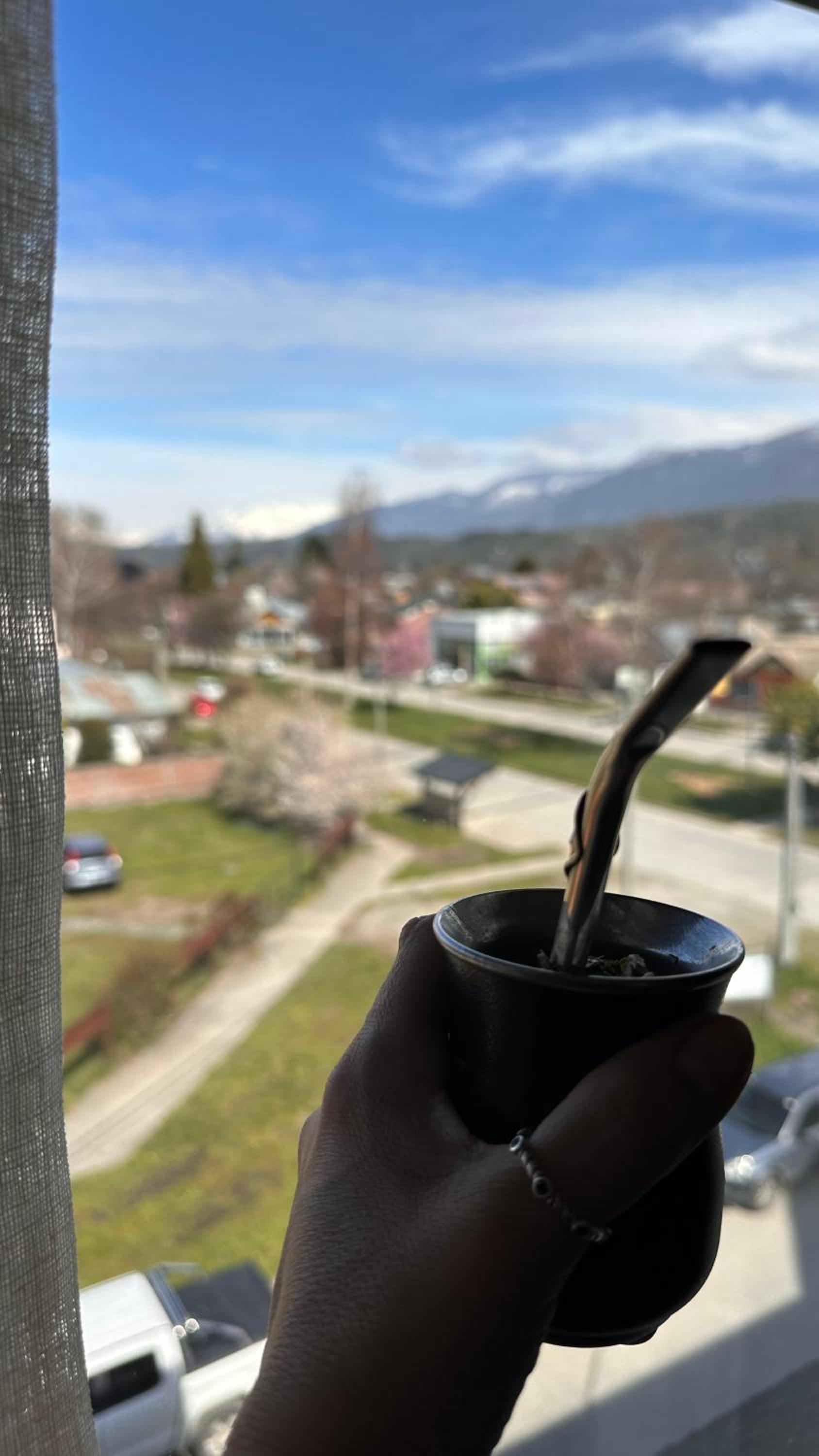 Ginkgo Patagonia