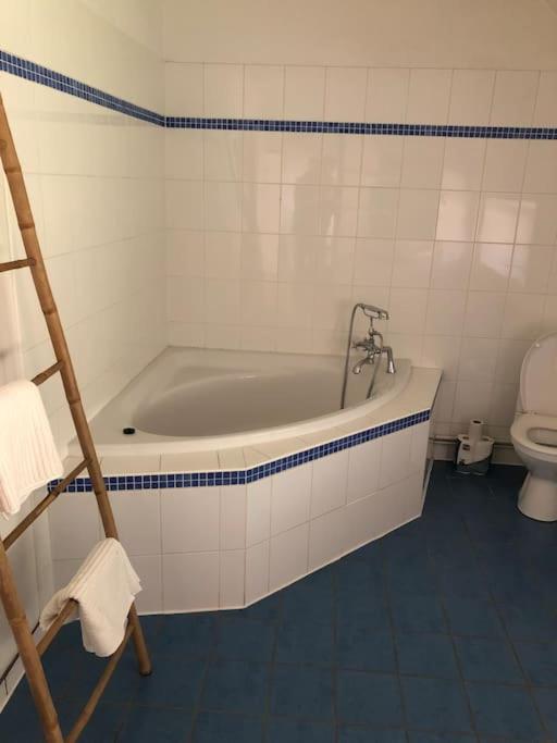 Maison en pierre, chaleureuse, avec étang