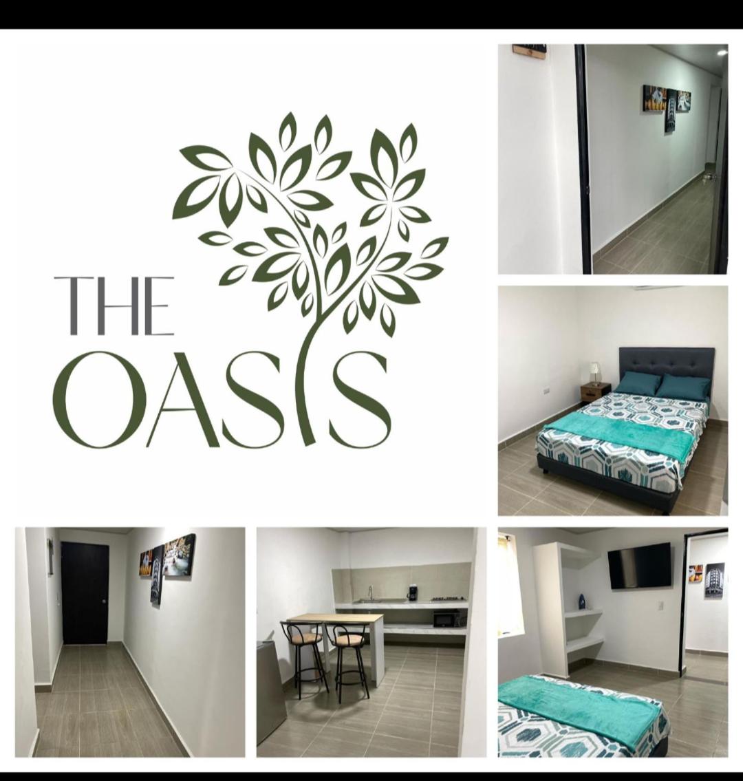The Oasis buró
