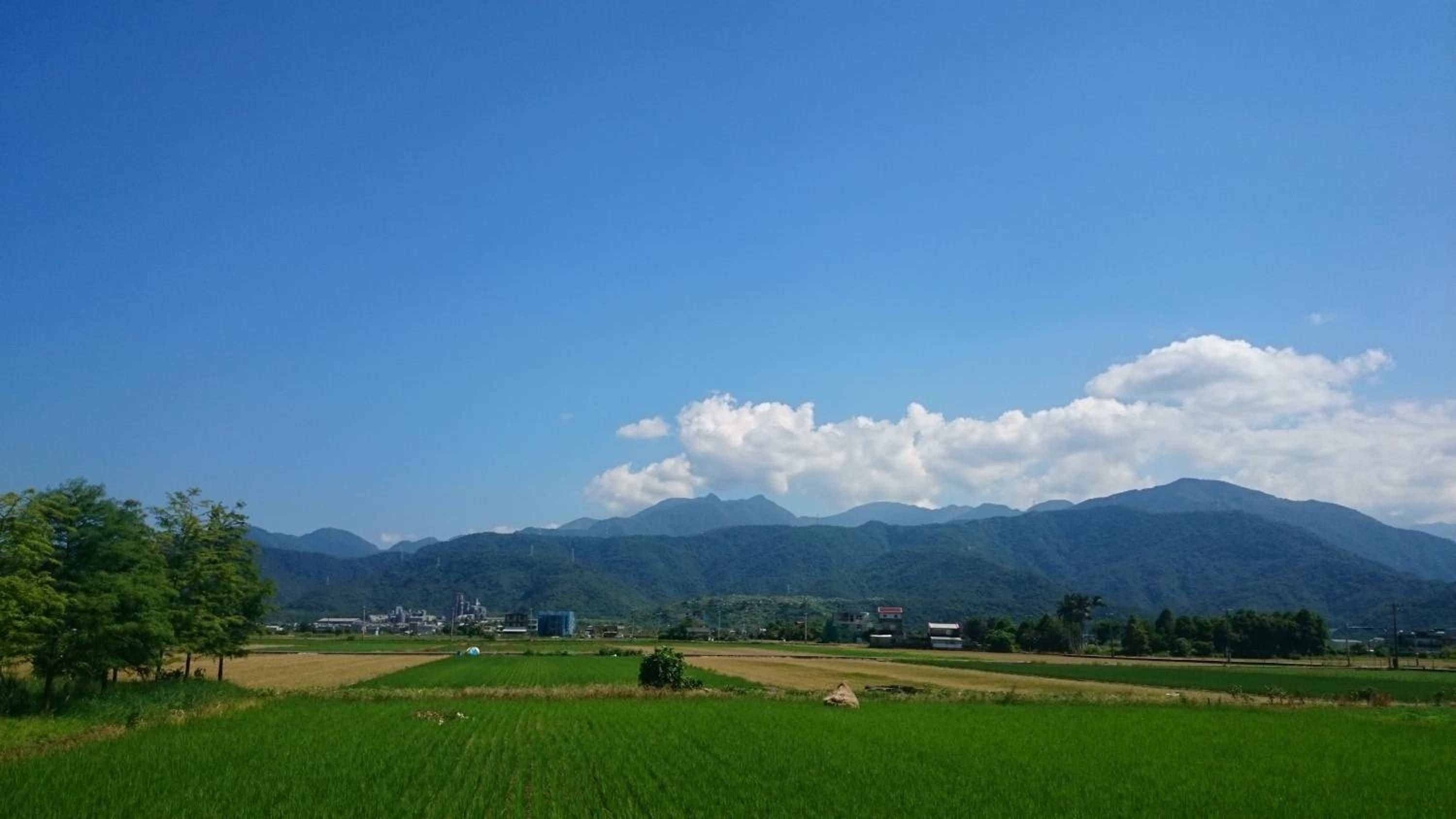 Yilan Real Fun Homestay