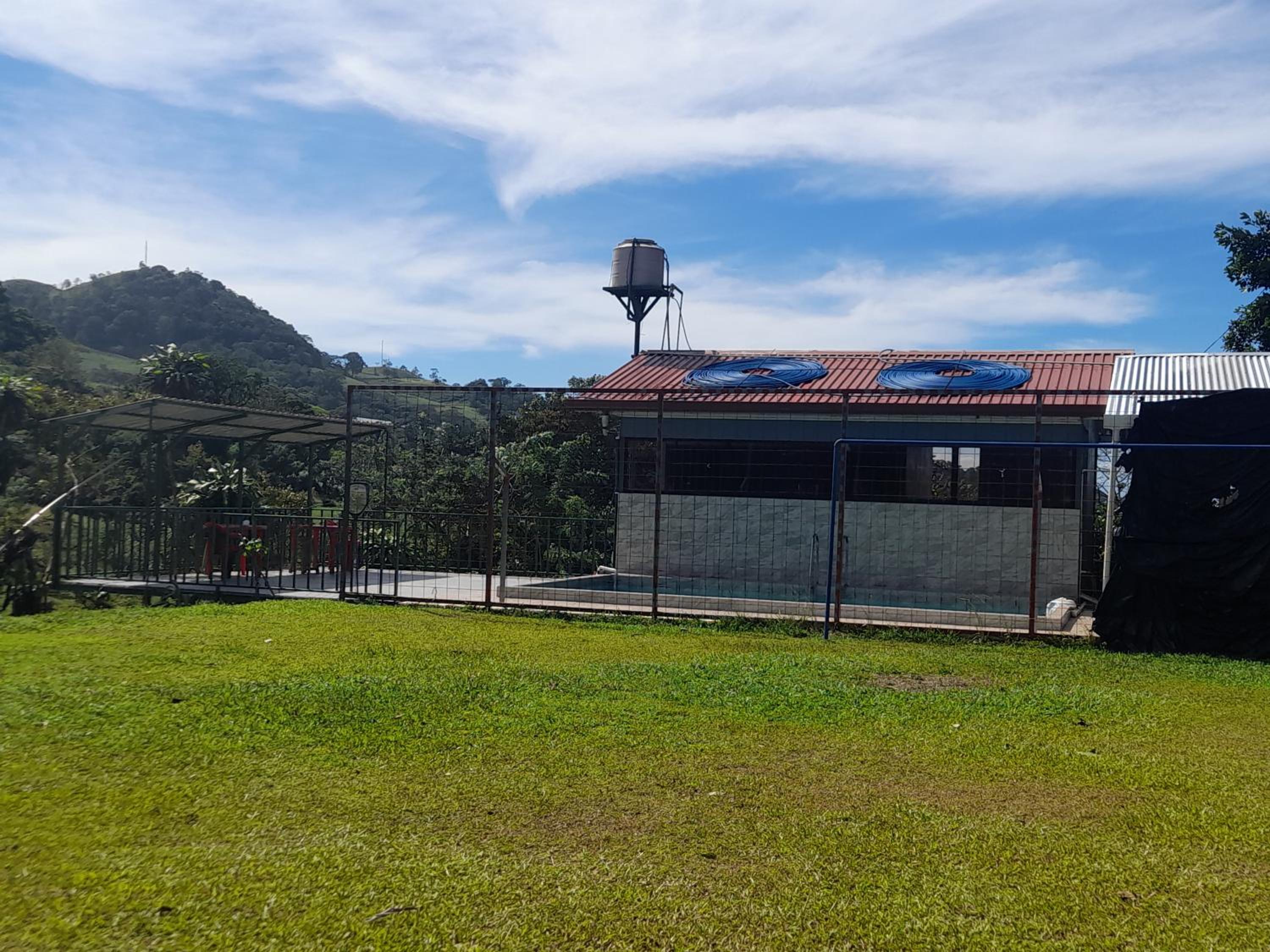 Casa árbol