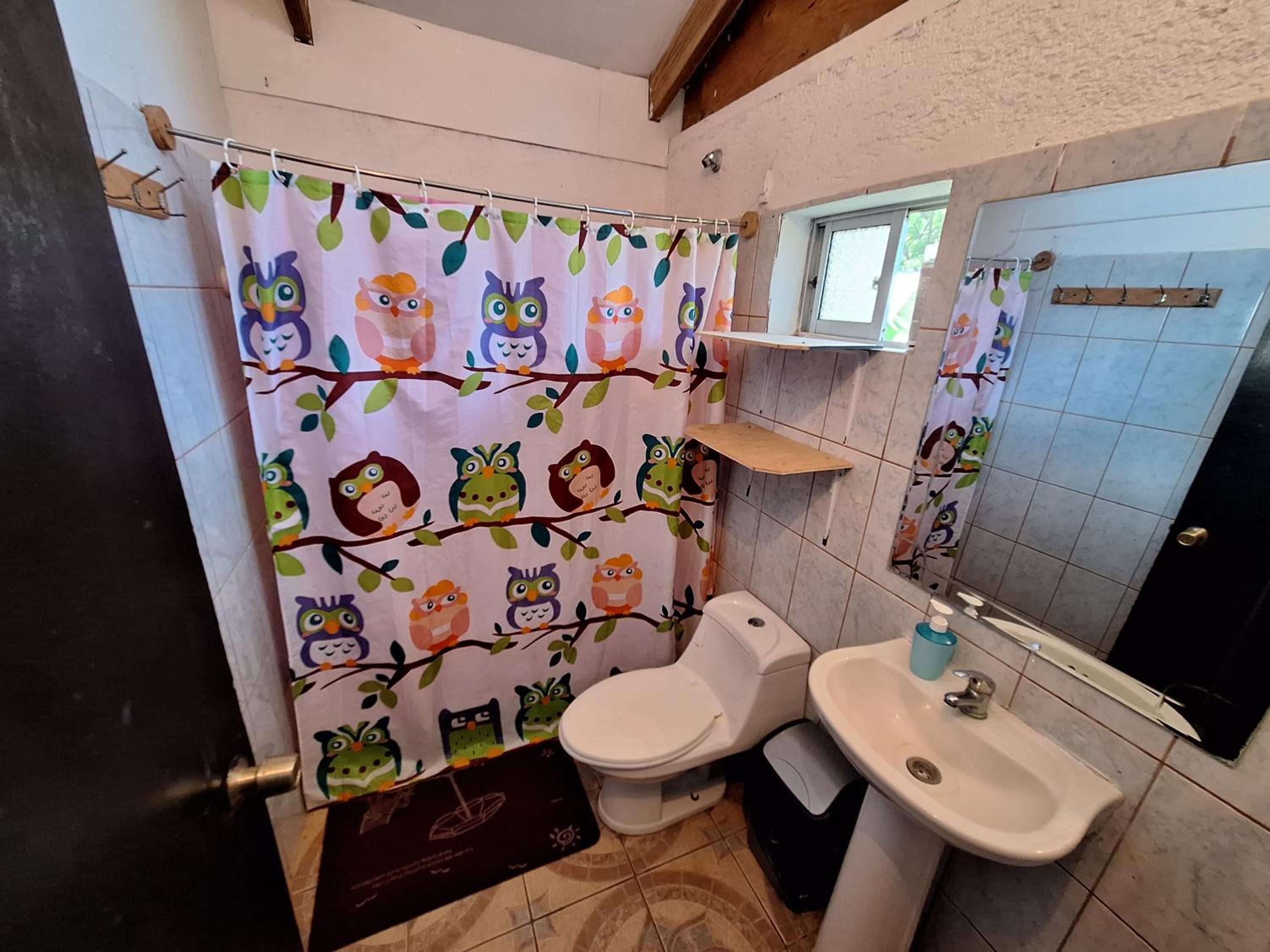 Cabañas puna poho
