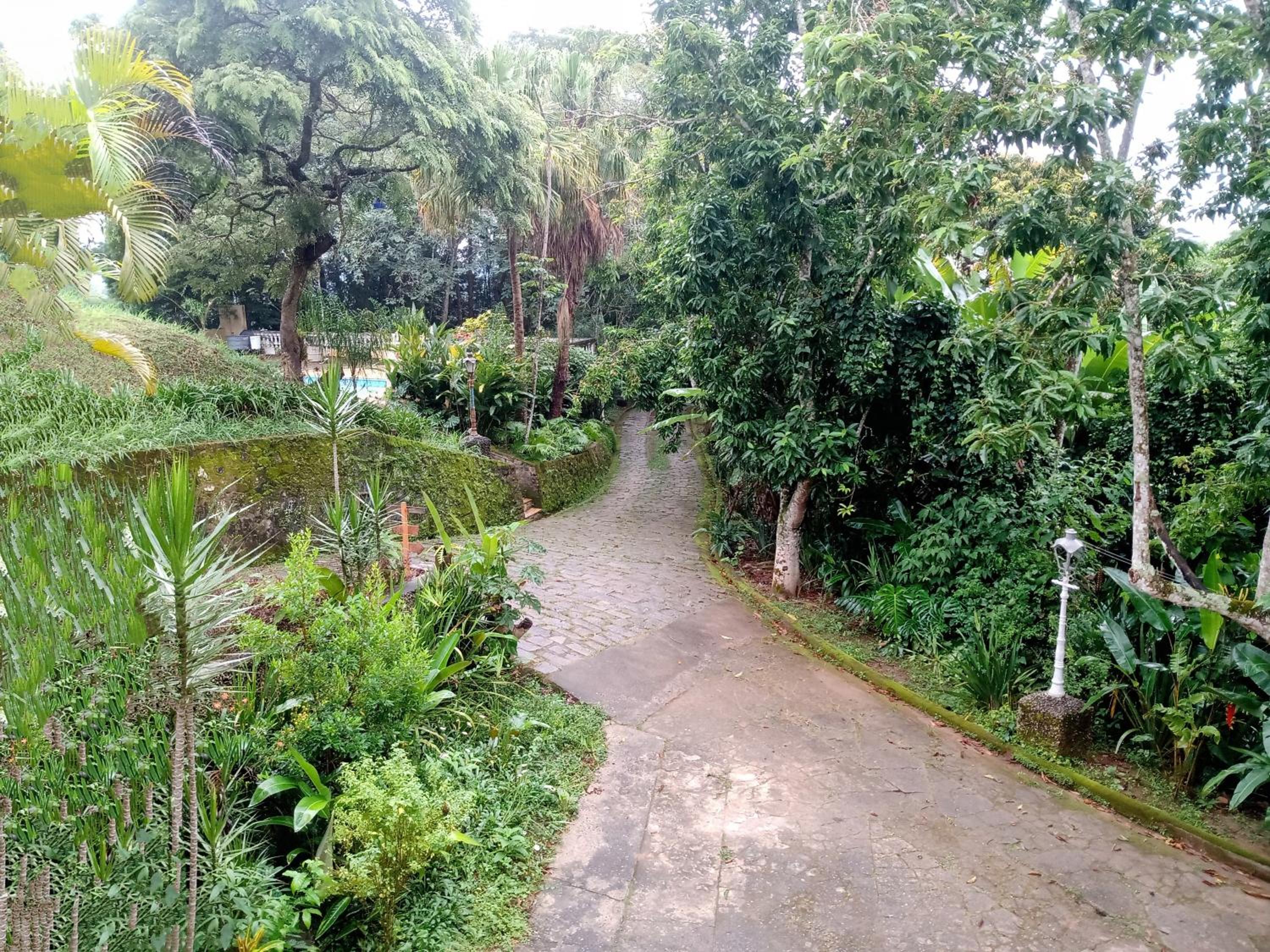 Photo 7