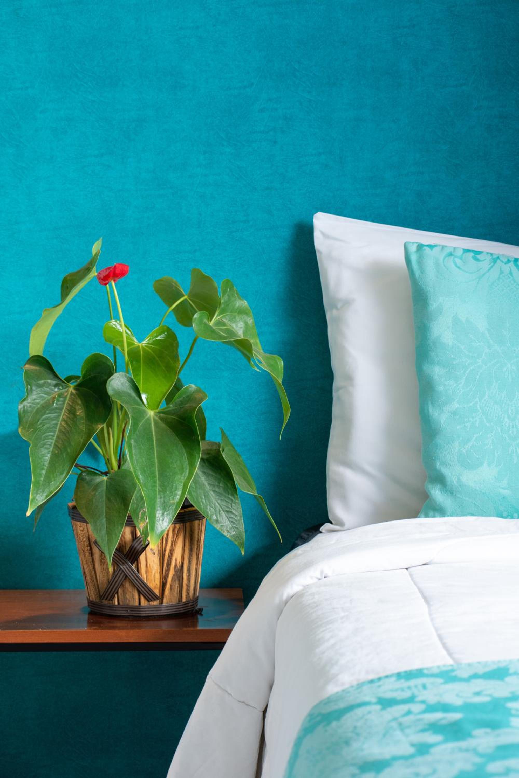 Pousada Aroma do Mar by Latitud Hoteles