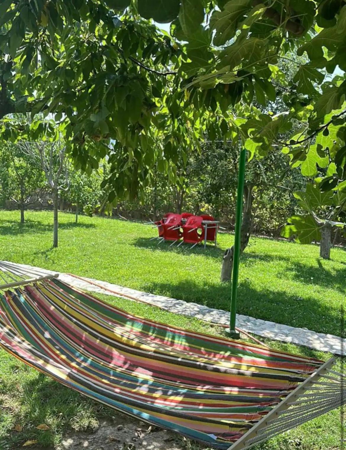 Cozy Shkodra guest house