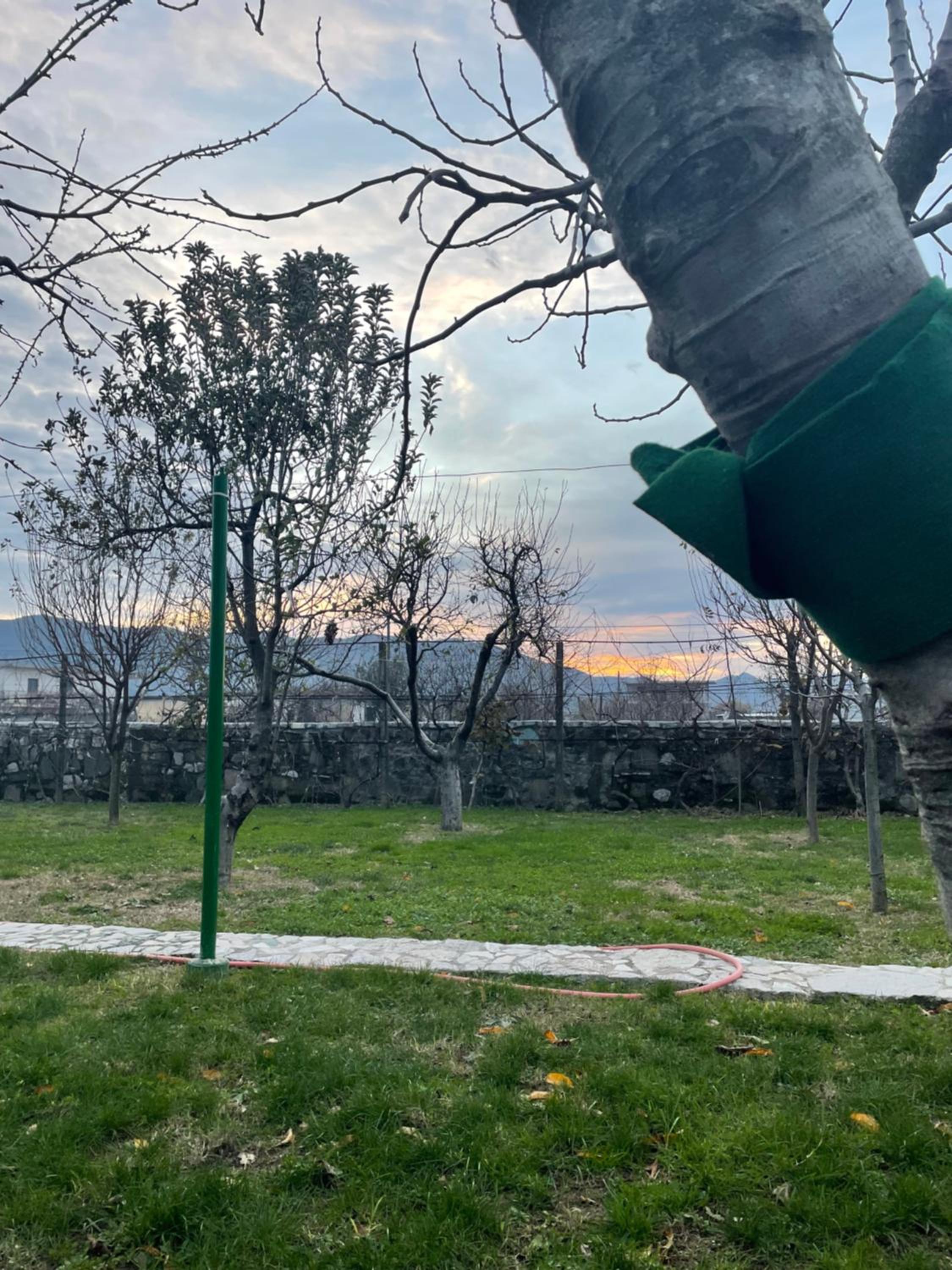 Cozy Shkodra guest house