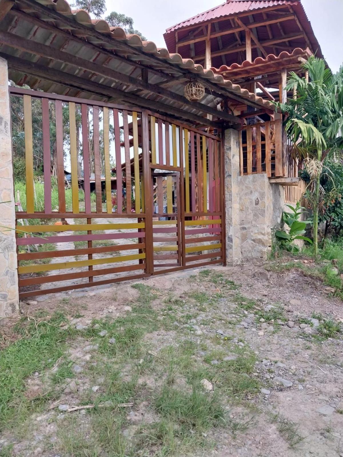 Photo 48