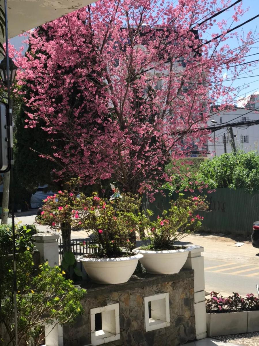 outdoor BBQ area