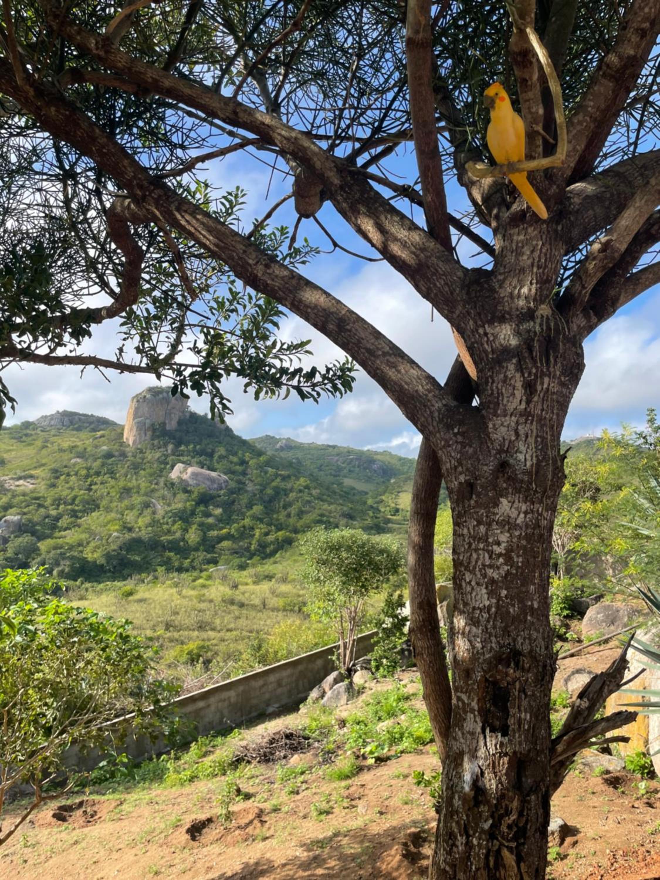 Casa em Monte das Gameleiras-RN