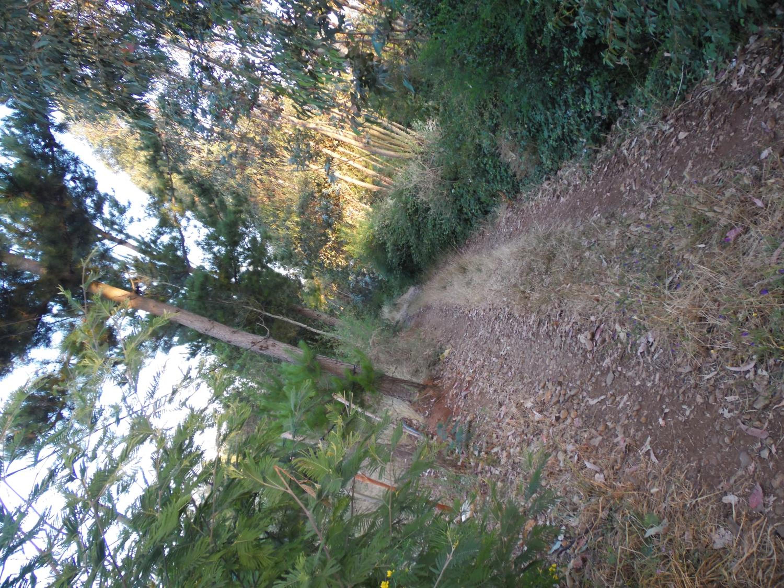 Cabañas en Chovellén, Pelluhue.