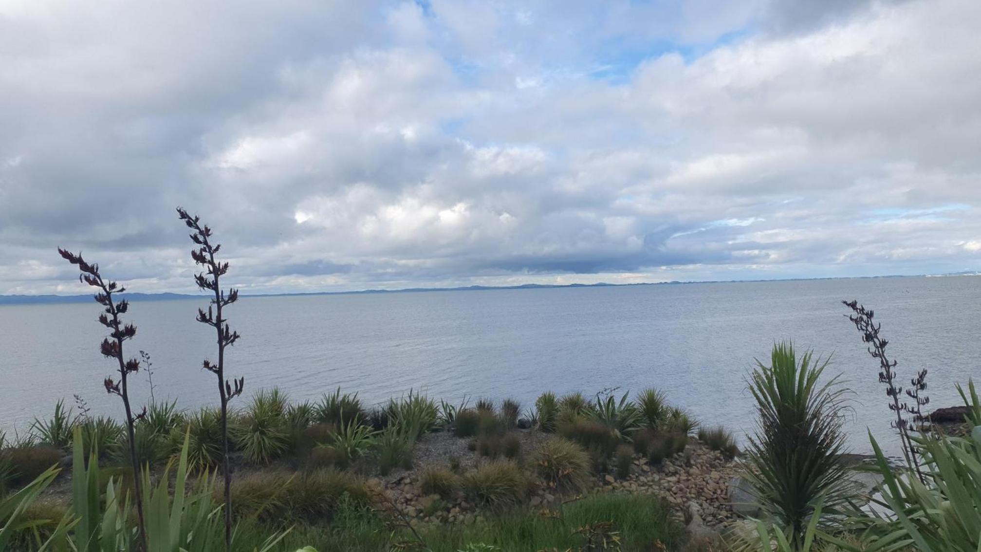 Clarks Beach Getaway