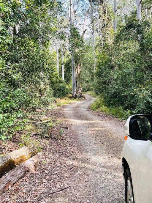 Cedar Lodge - Barrington Tops Salisbury