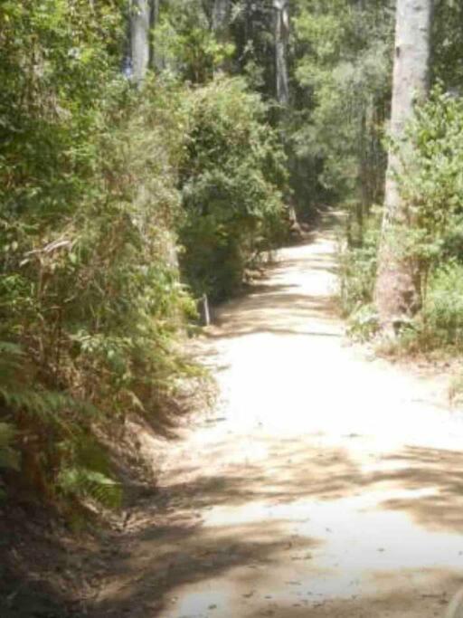 Cedar Lodge - Barrington Tops Salisbury