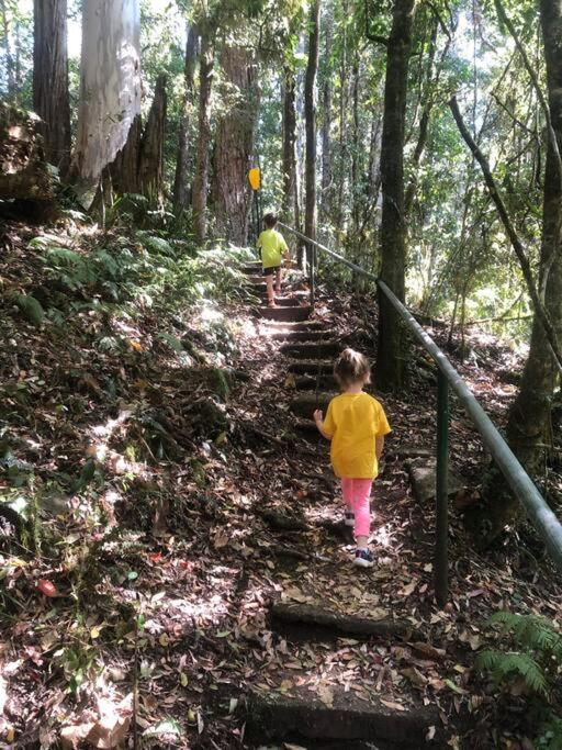 Cedar Lodge - Barrington Tops Salisbury
