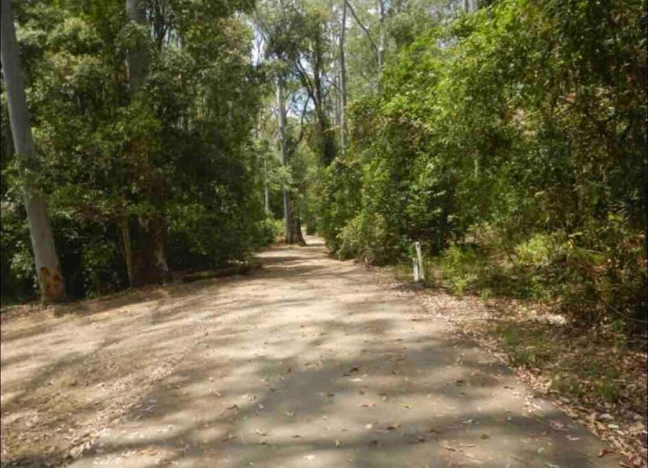 Cedar Lodge - Barrington Tops Salisbury