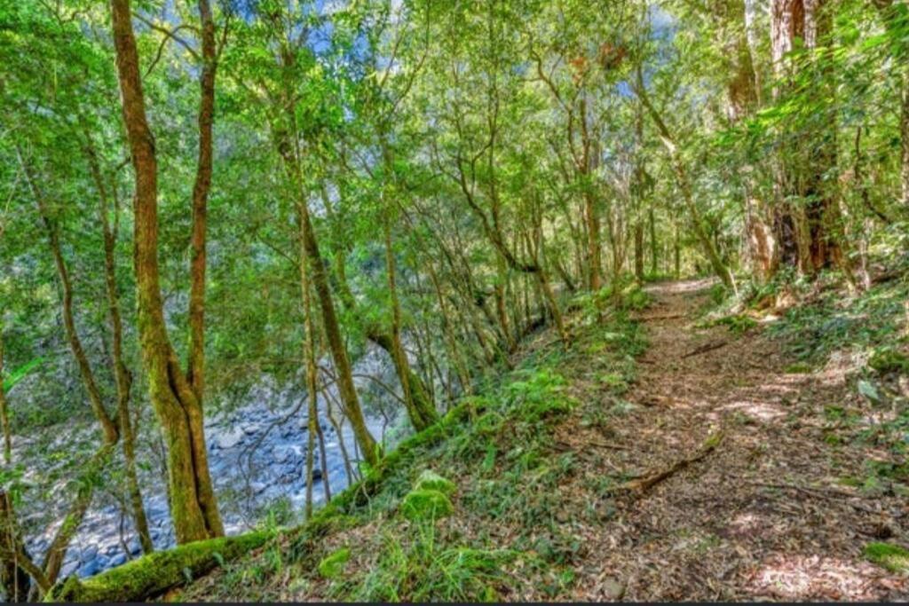 Cedar Lodge - Barrington Tops Salisbury