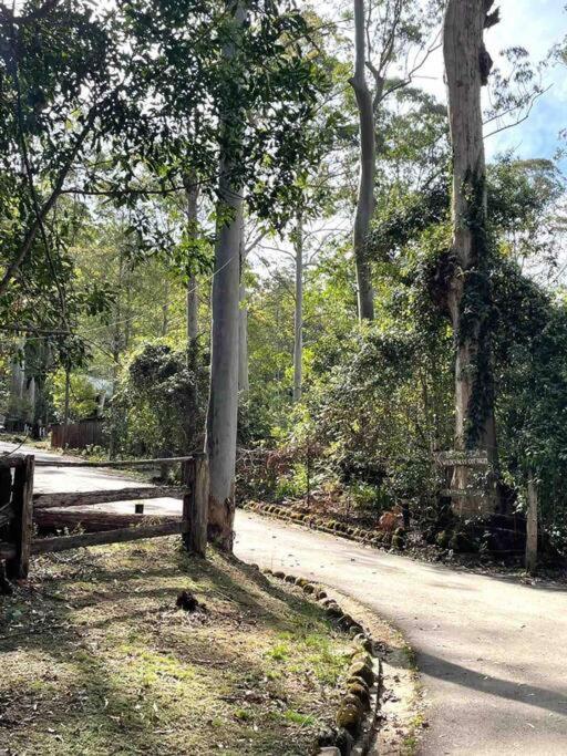 Cedar Lodge - Barrington Tops Salisbury