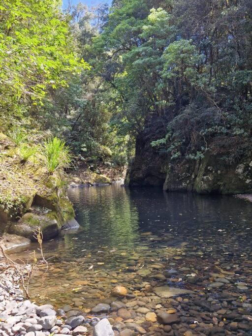 Cedar Lodge - Barrington Tops Salisbury